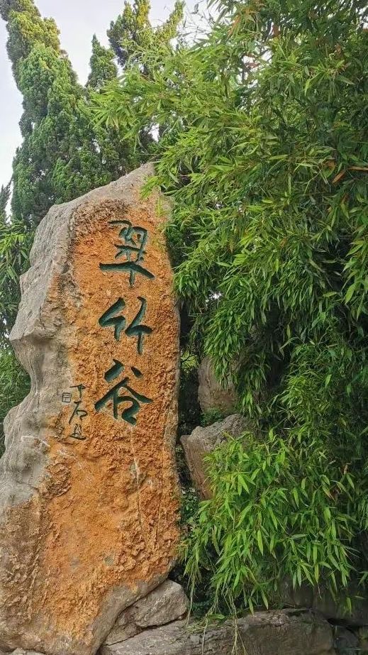 翠竹谷旅行图片 1