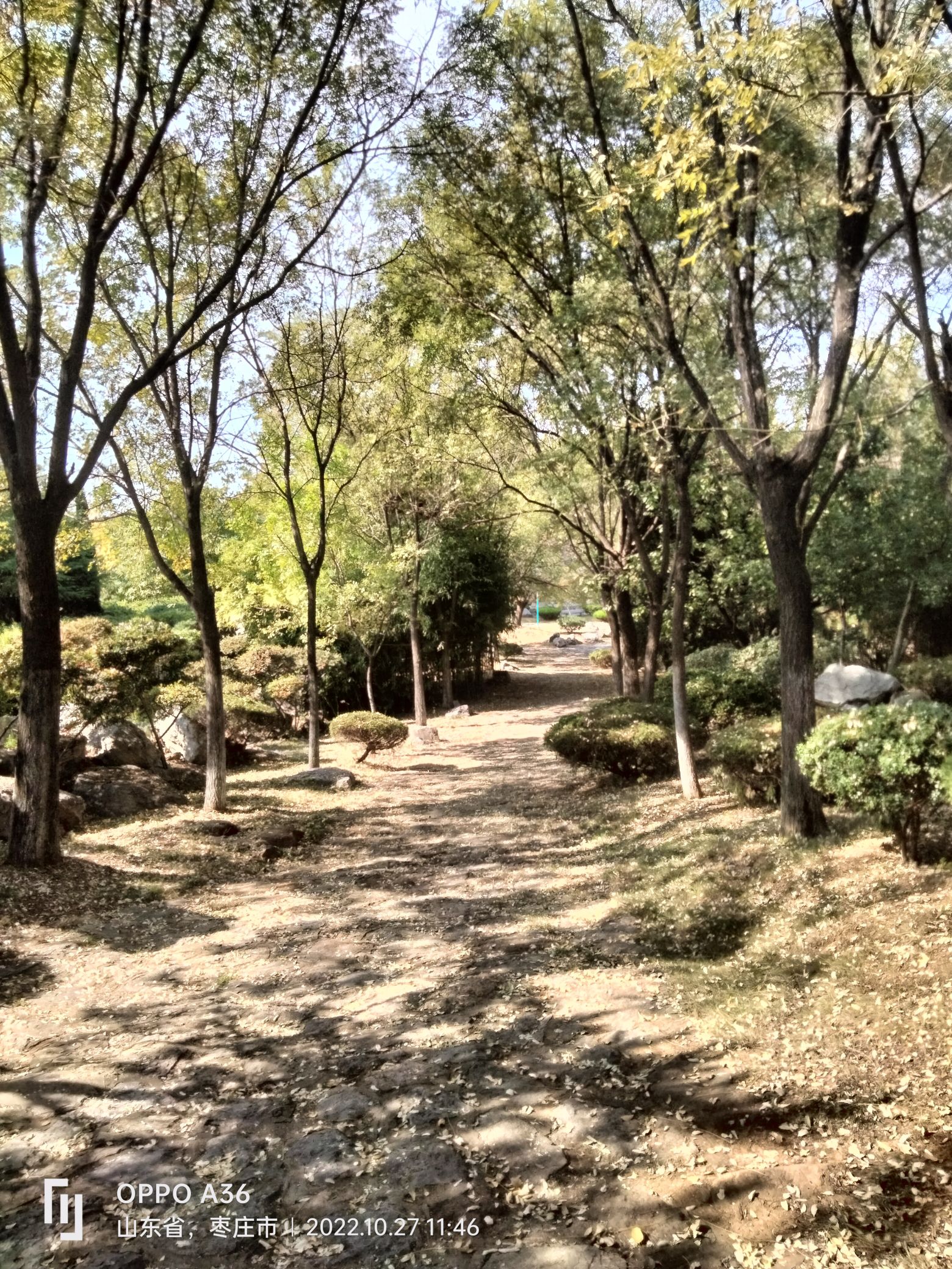 翠竹谷旅行图片 3