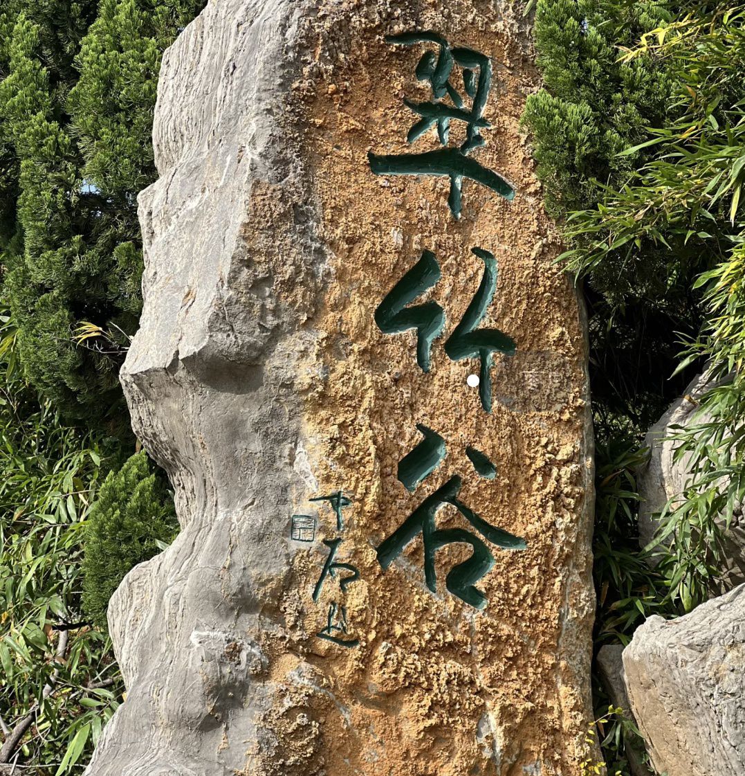 山东枣庄市薛城区附近的旅游景点有哪些？