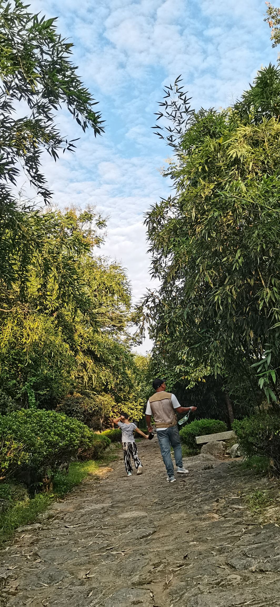 翠竹谷旅行图片 2