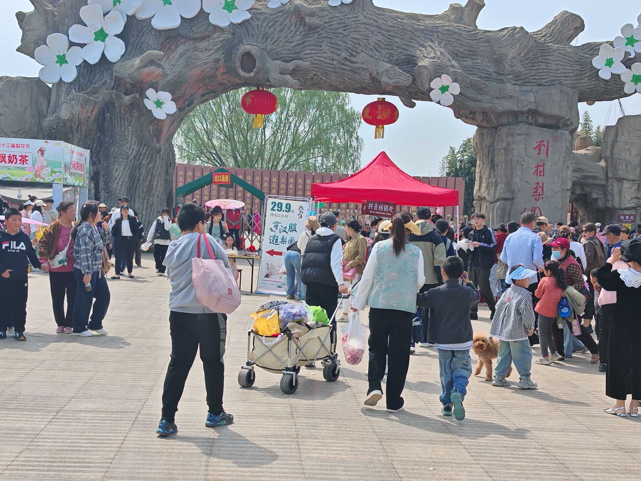 刘村梨园旅行图片 3