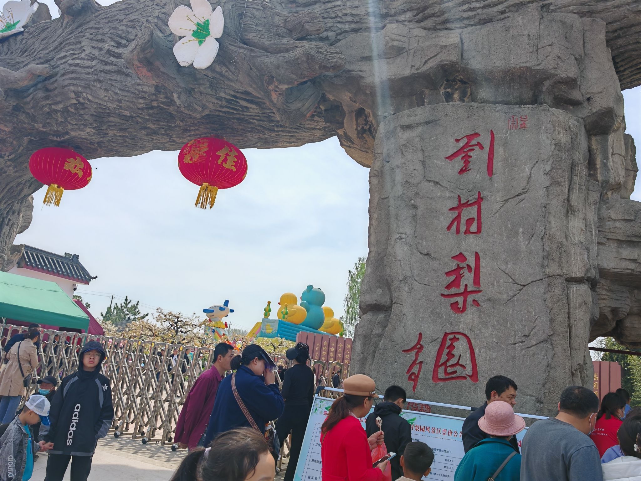 刘村梨园旅行图片 2