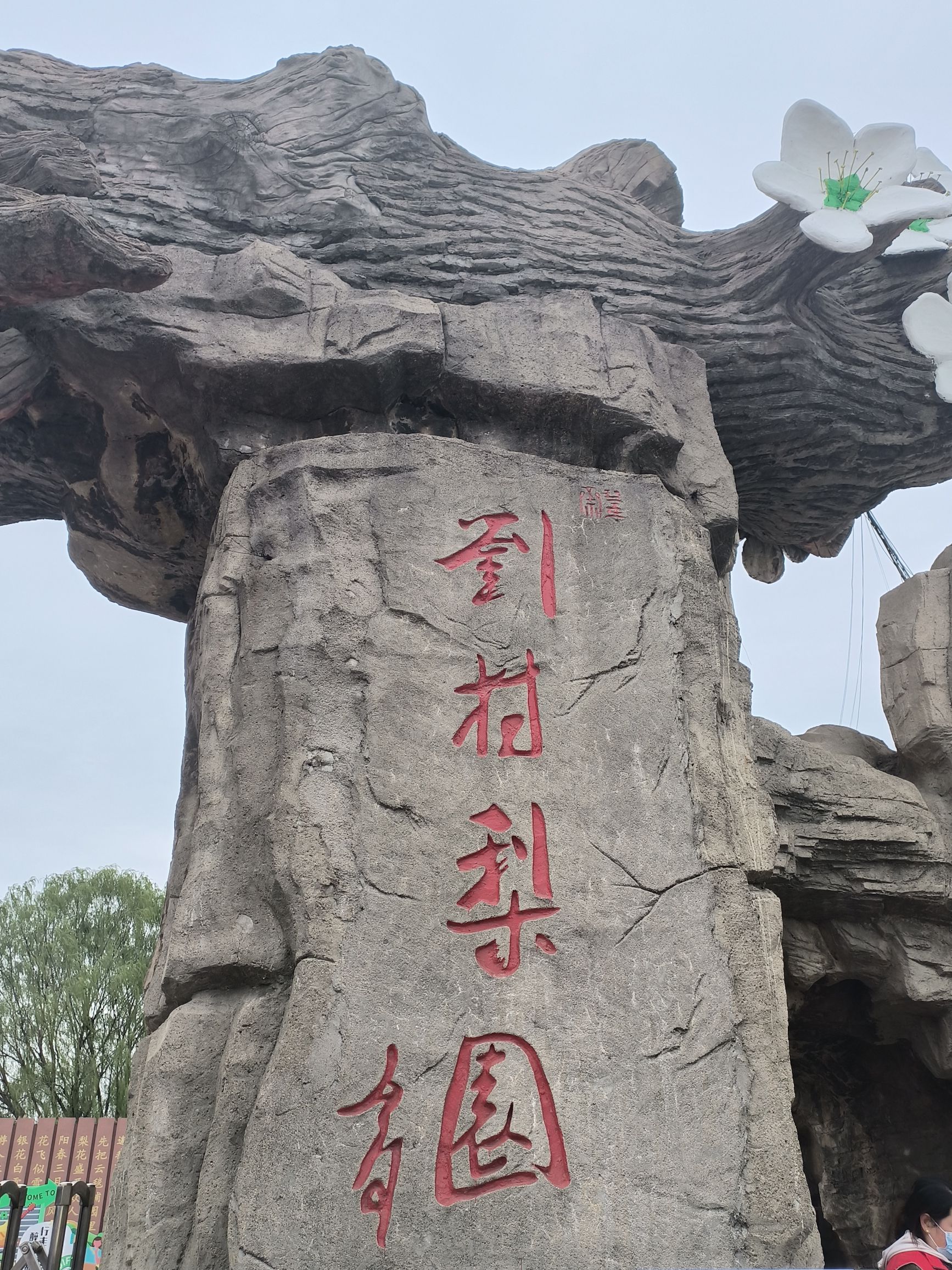 刘村梨园旅行图片 2