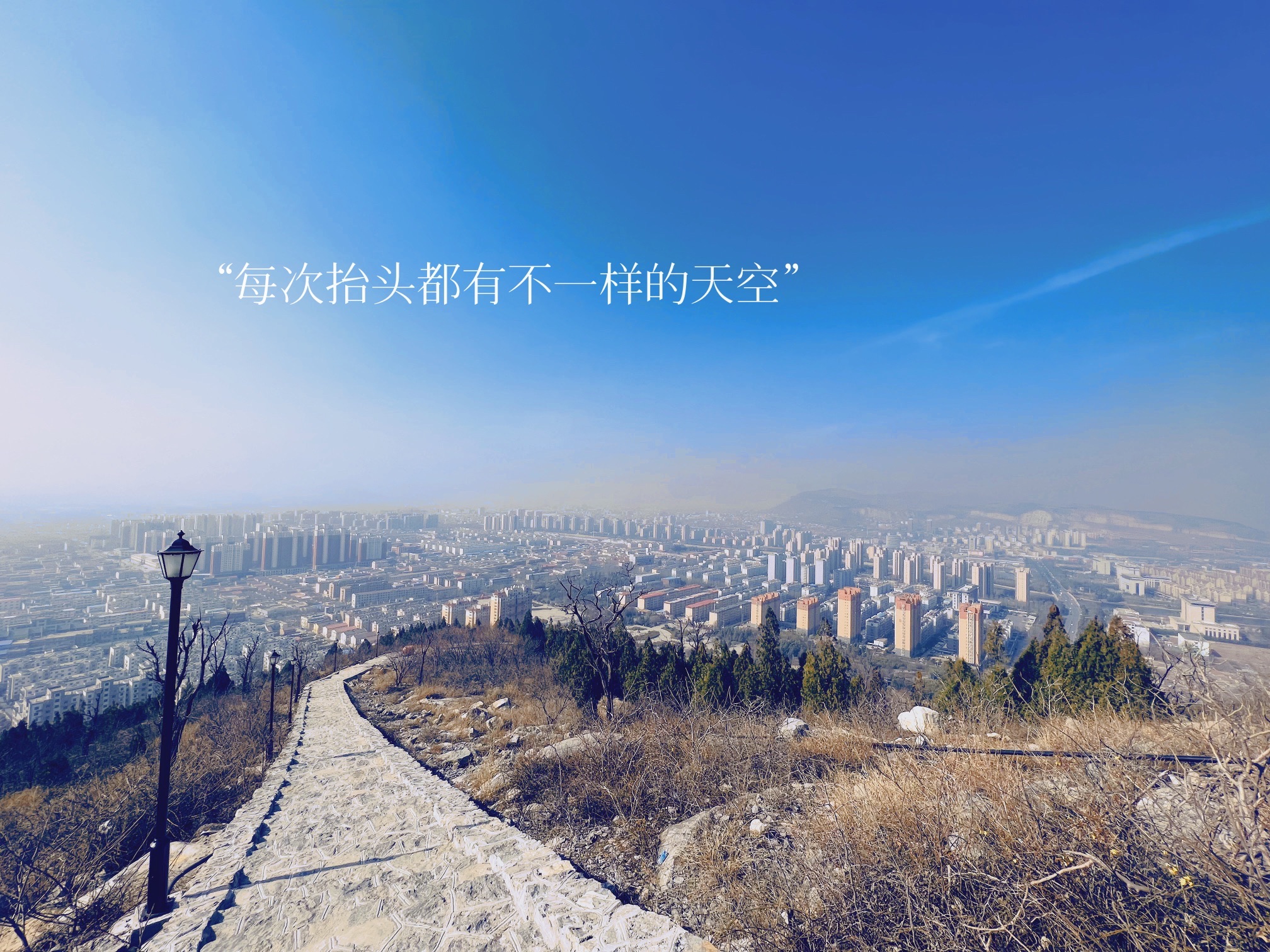 仙坛晓翠旅行图片 1