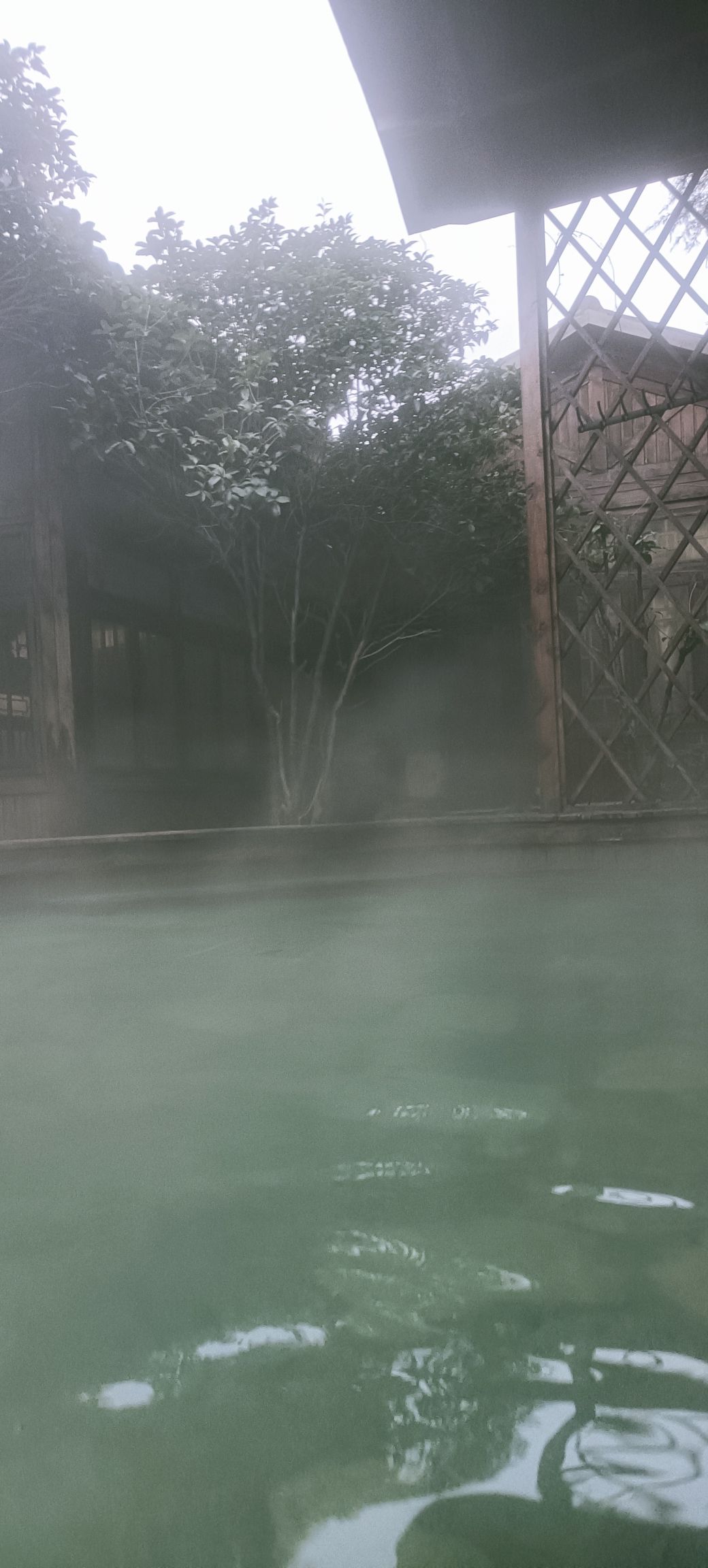 仙坛山温泉小镇旅行图片 2