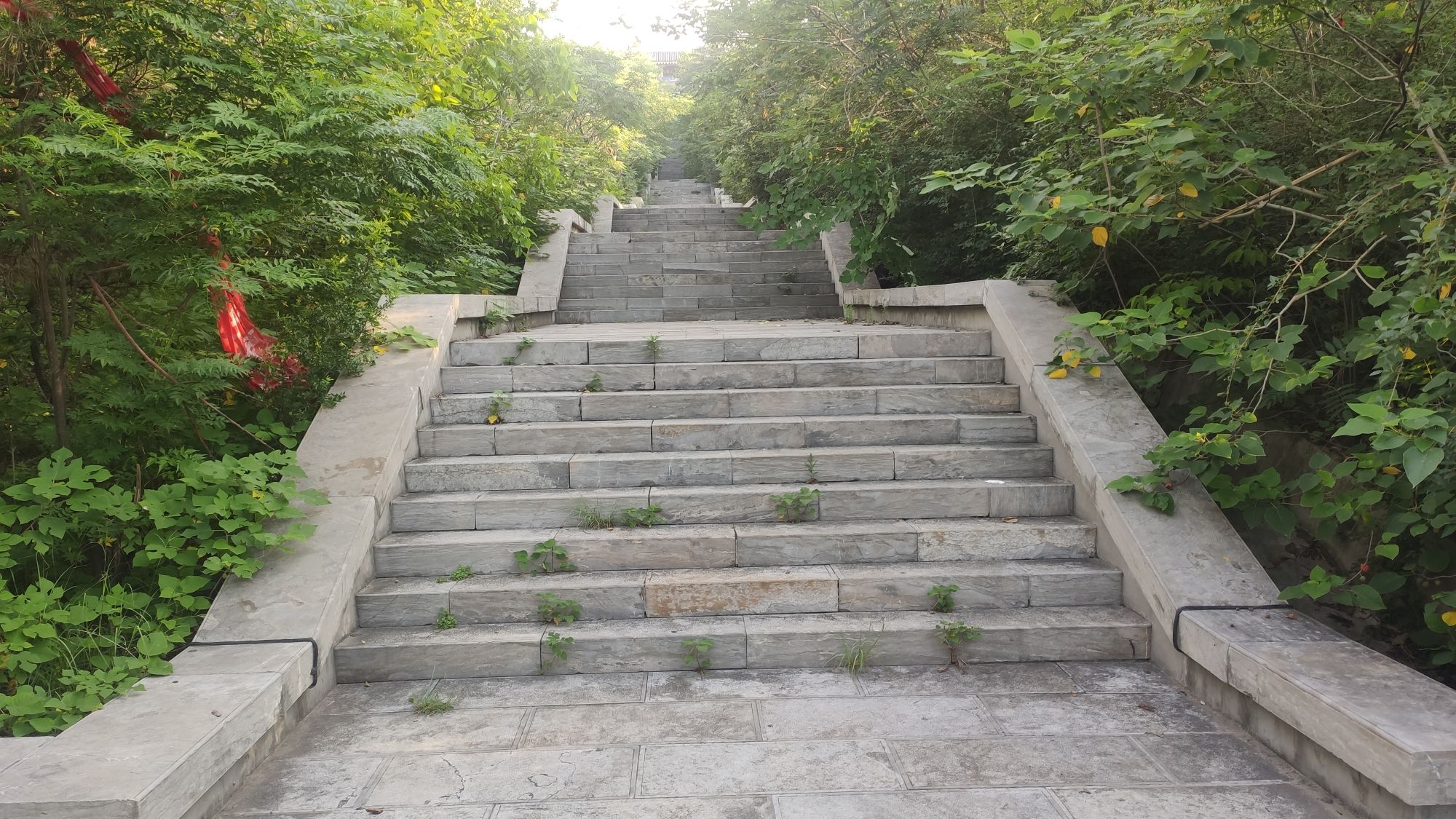 奚仲古墓旅行图片 2