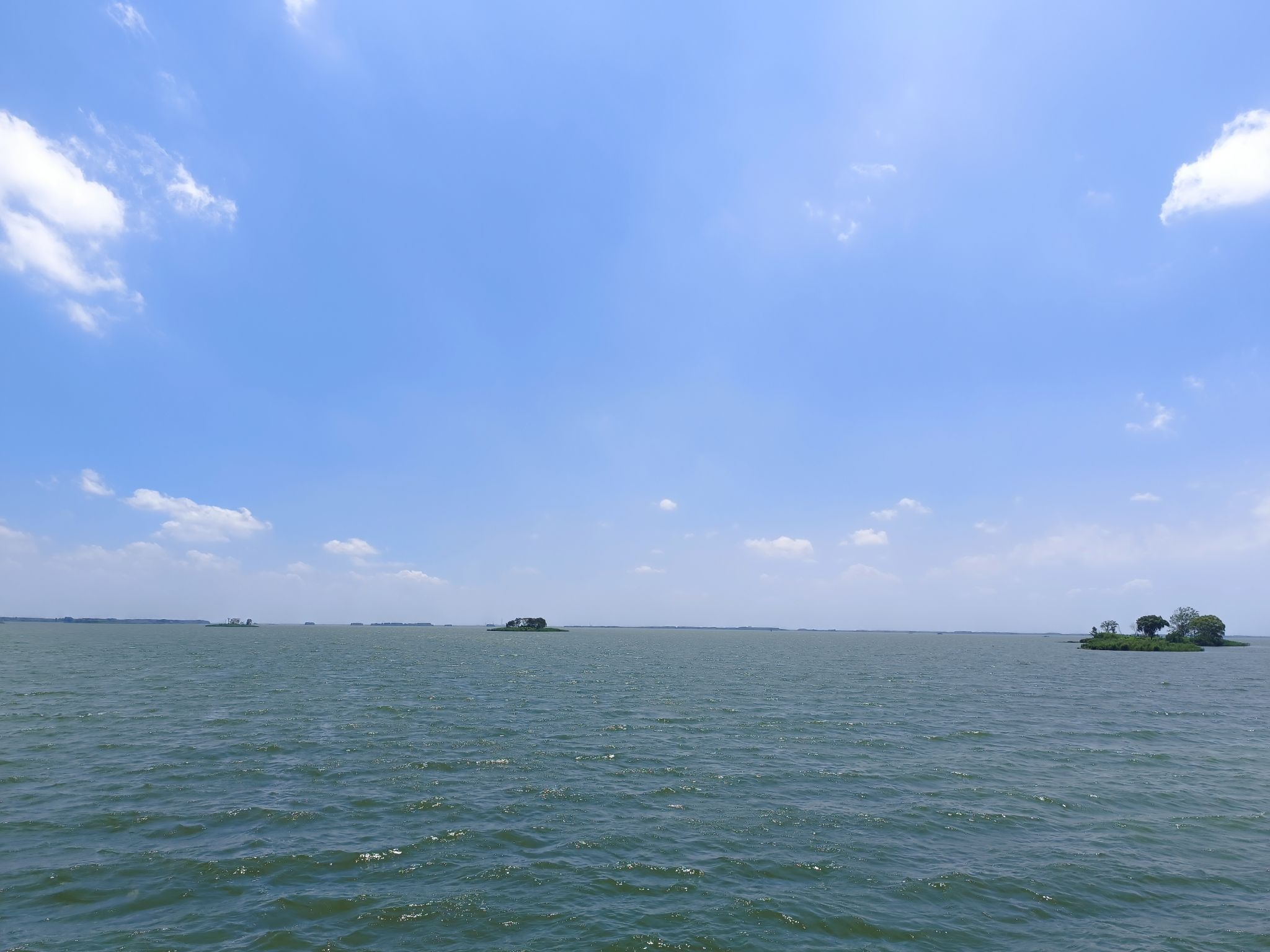滕州微山湖红荷湿地景区旅行图片 1