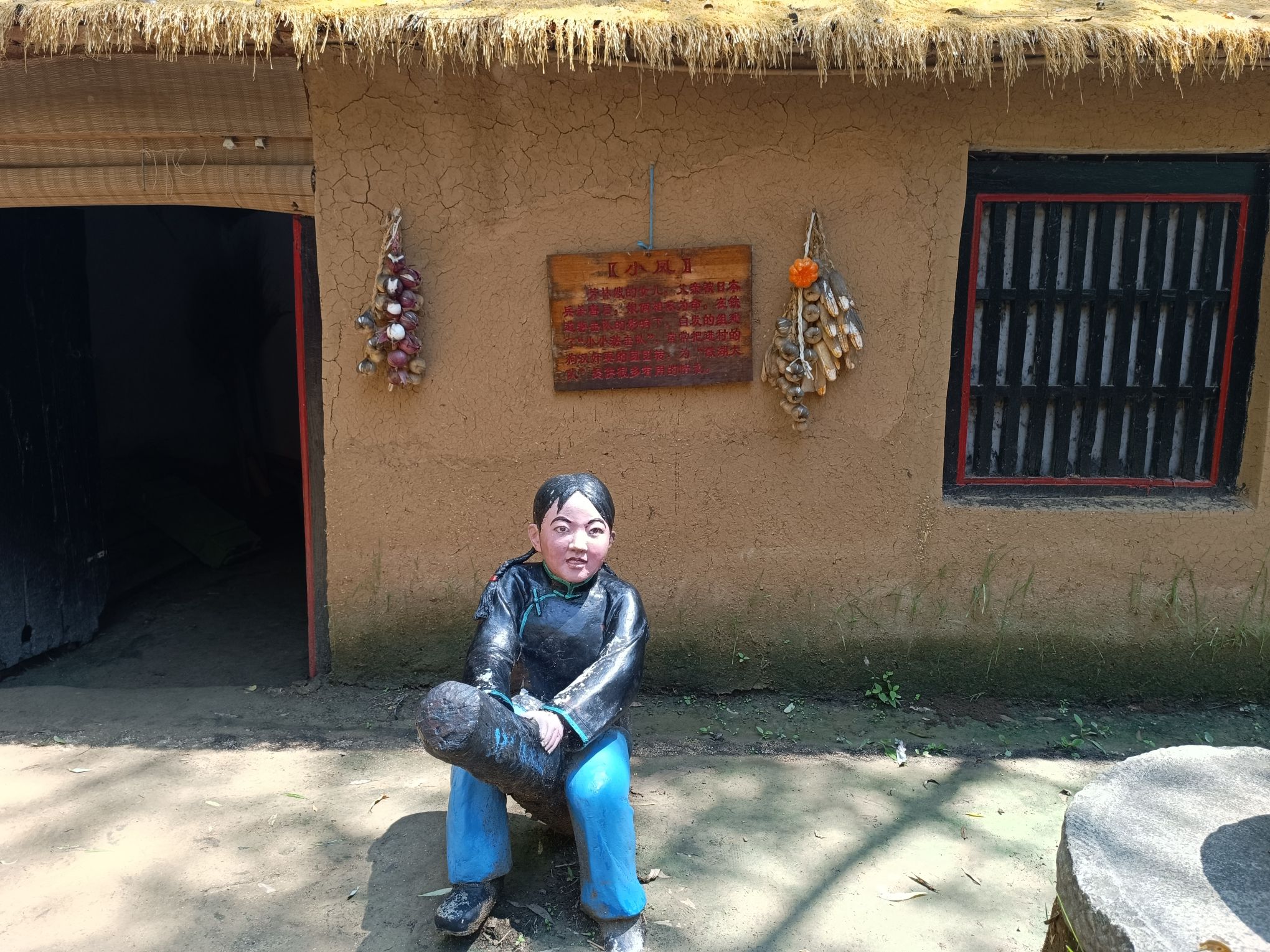 滕州微山湖红荷湿地景区旅行图片 2
