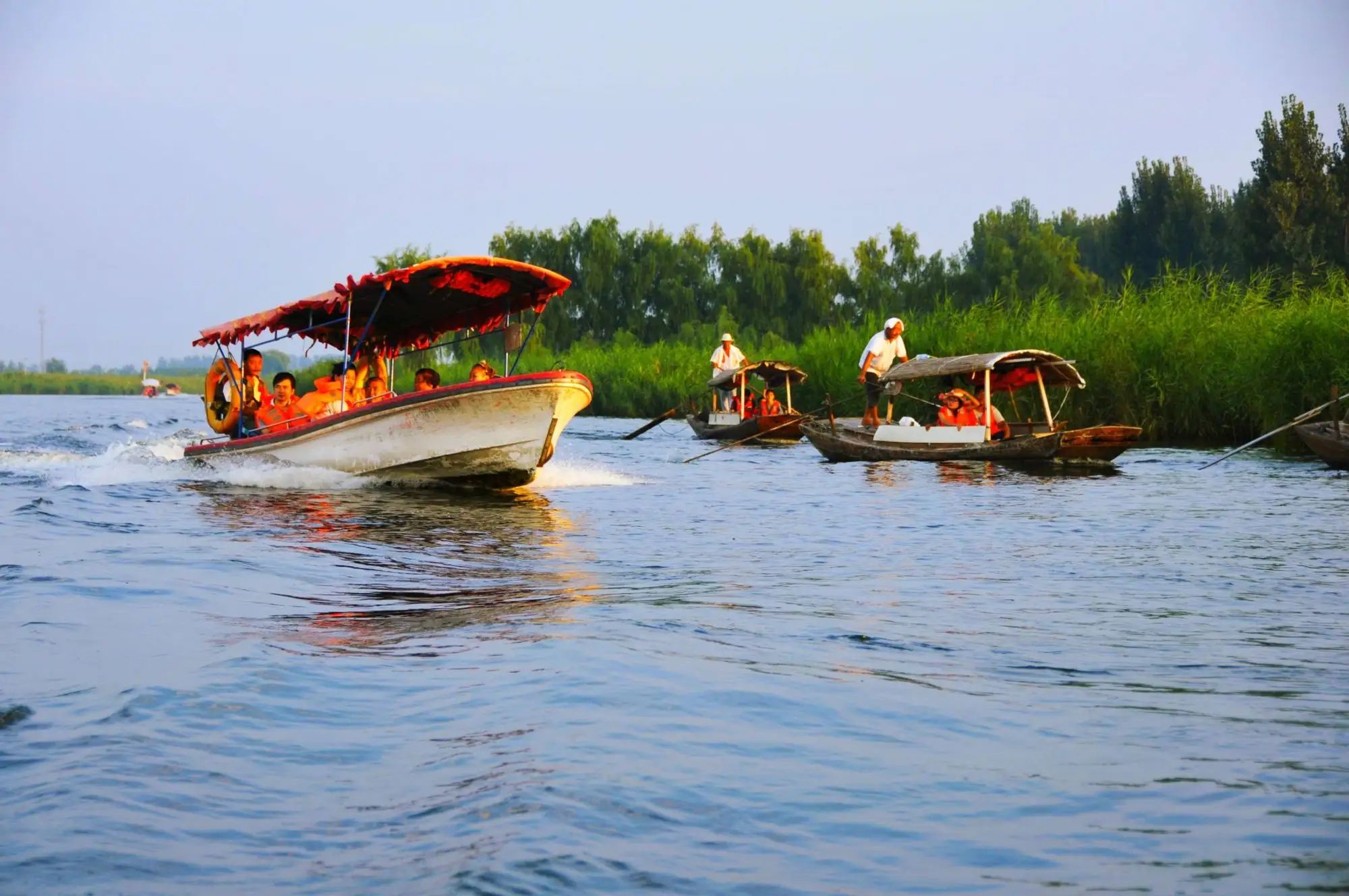 滕州微山湖红荷湿地景区旅行图片 1
