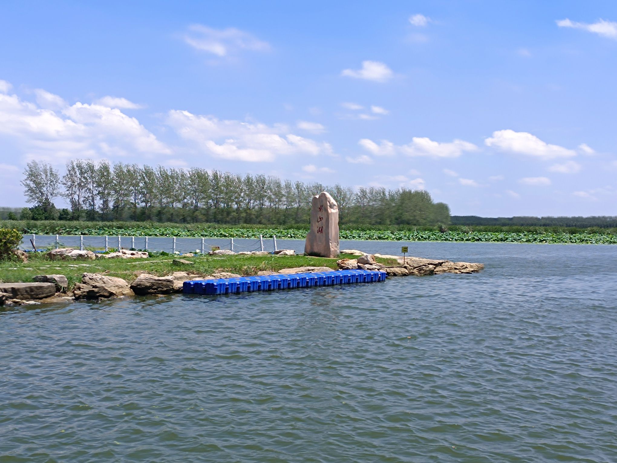 滕州微山湖红荷湿地景区旅行图片 3