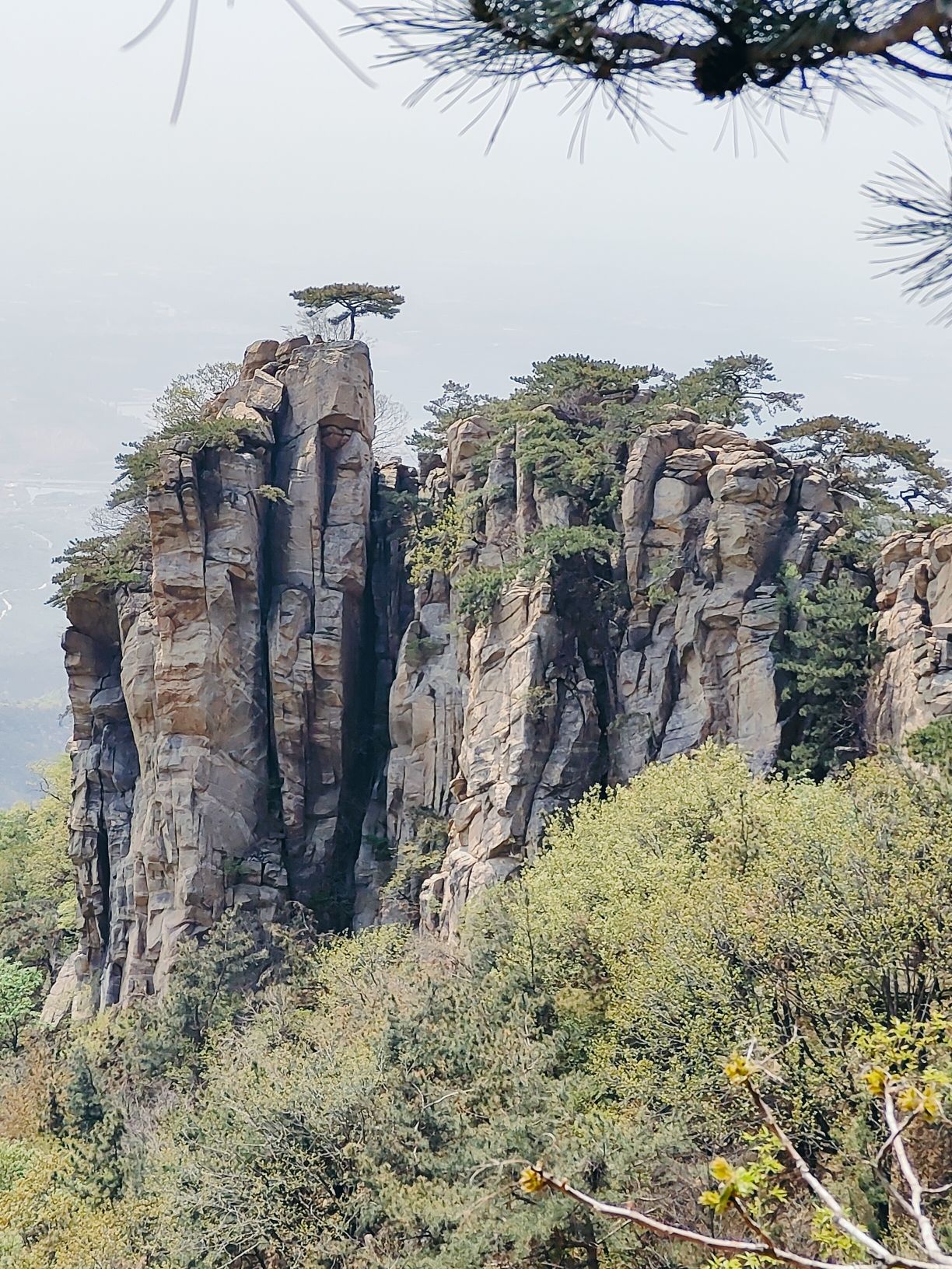 滕州微山湖红荷湿地景区旅行图片 2