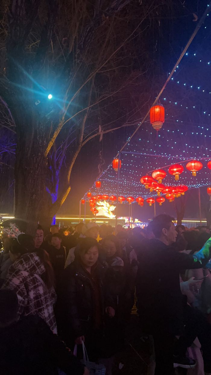 滕州微山湖红荷湿地景区旅行图片 2