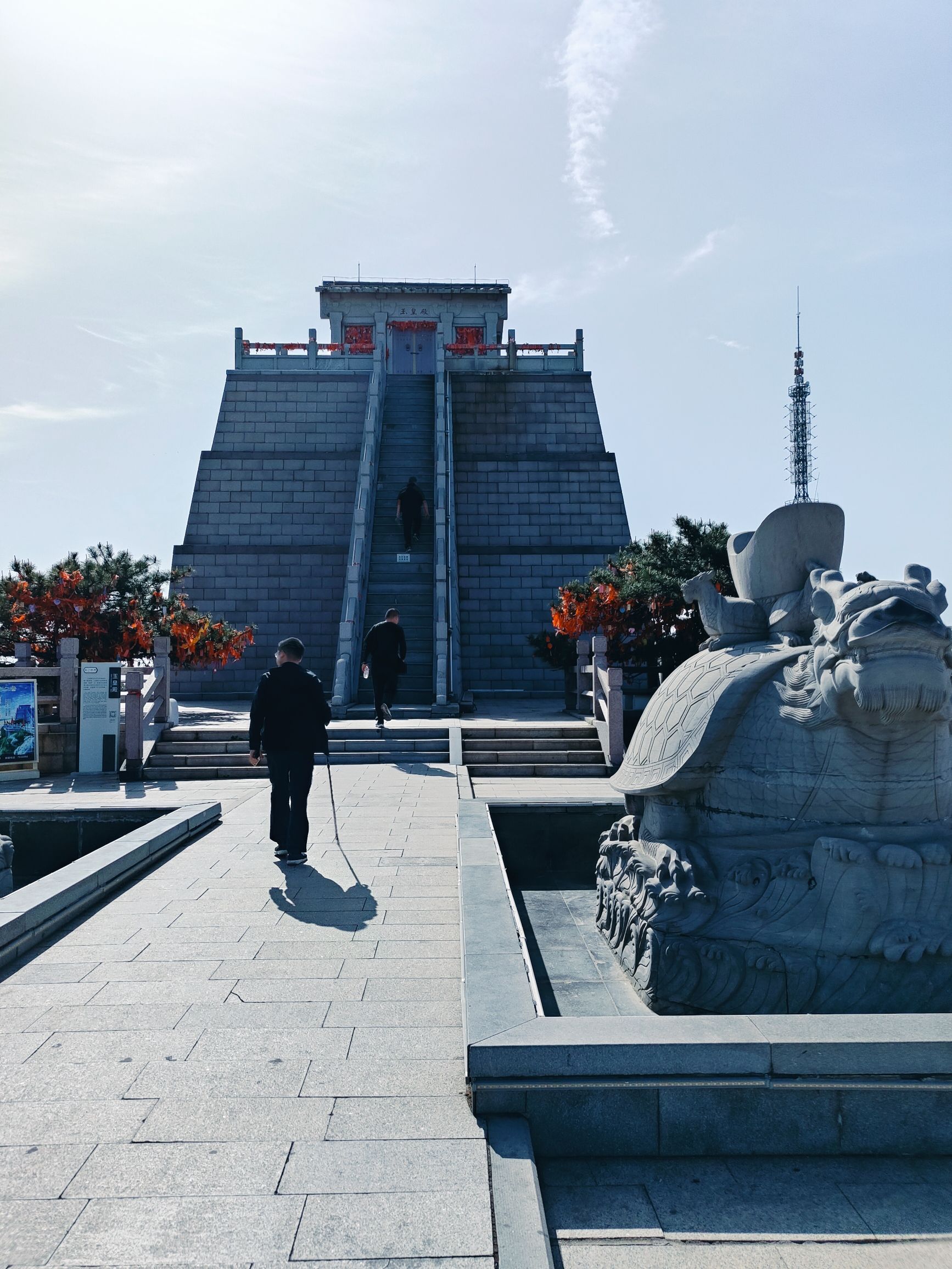 滕州微山湖红荷湿地景区旅行图片 1