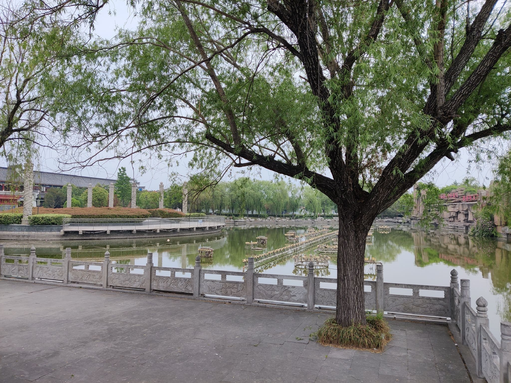 宗泽园旅行图片 2