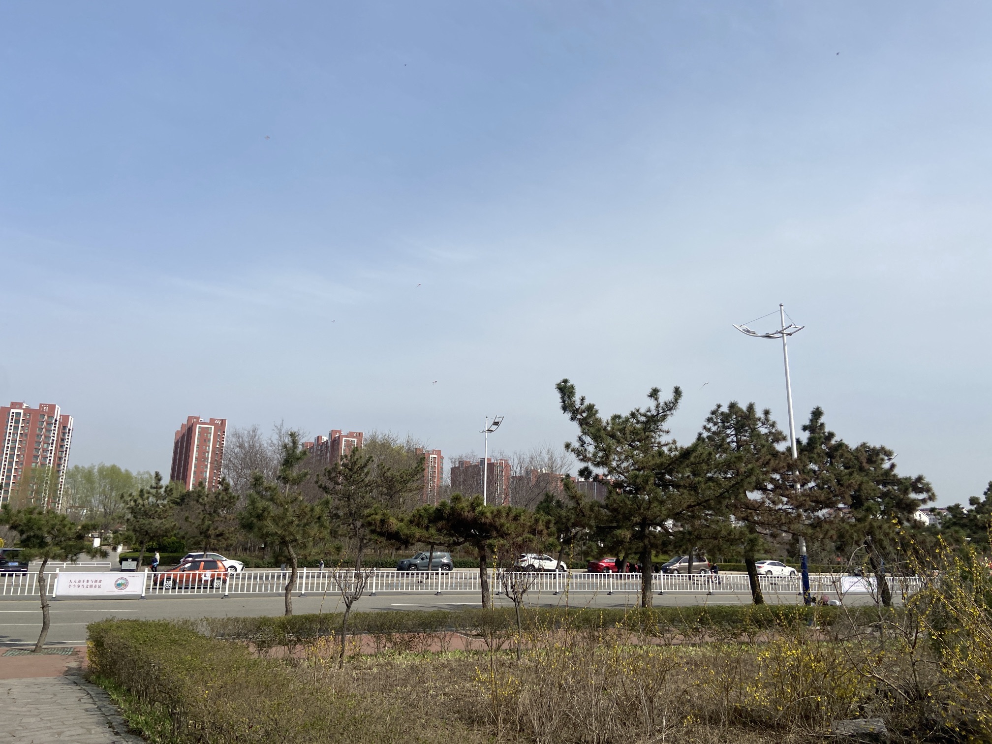 五莲广场旅行图片 2