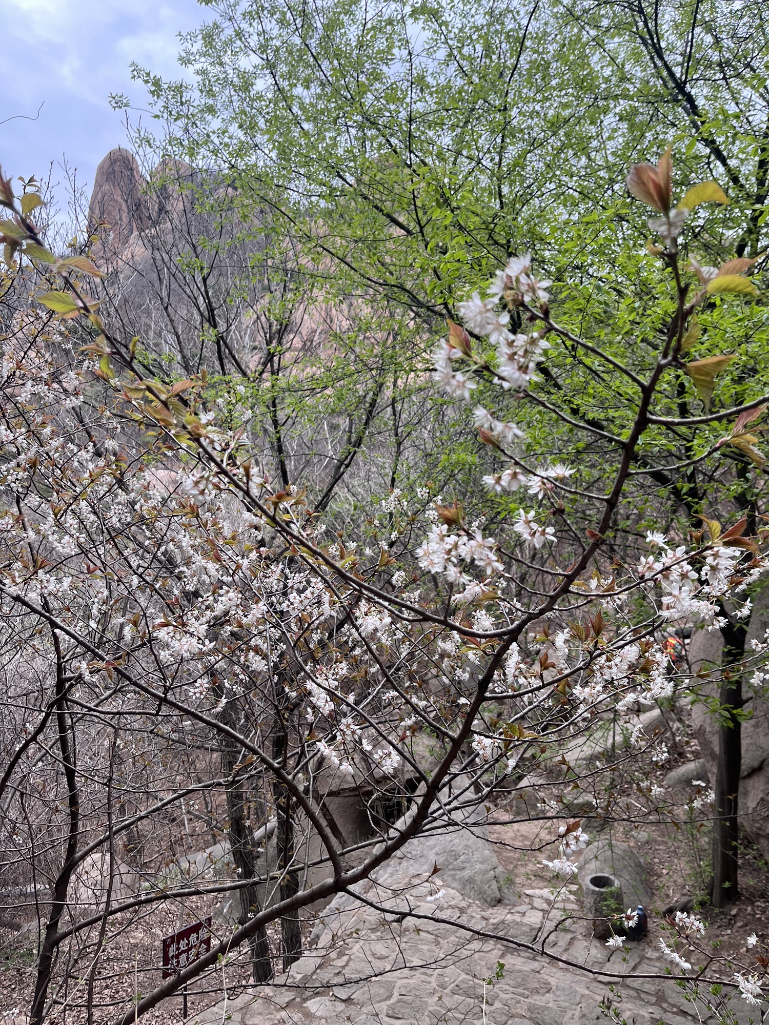 五莲山风景区旅行图片 2