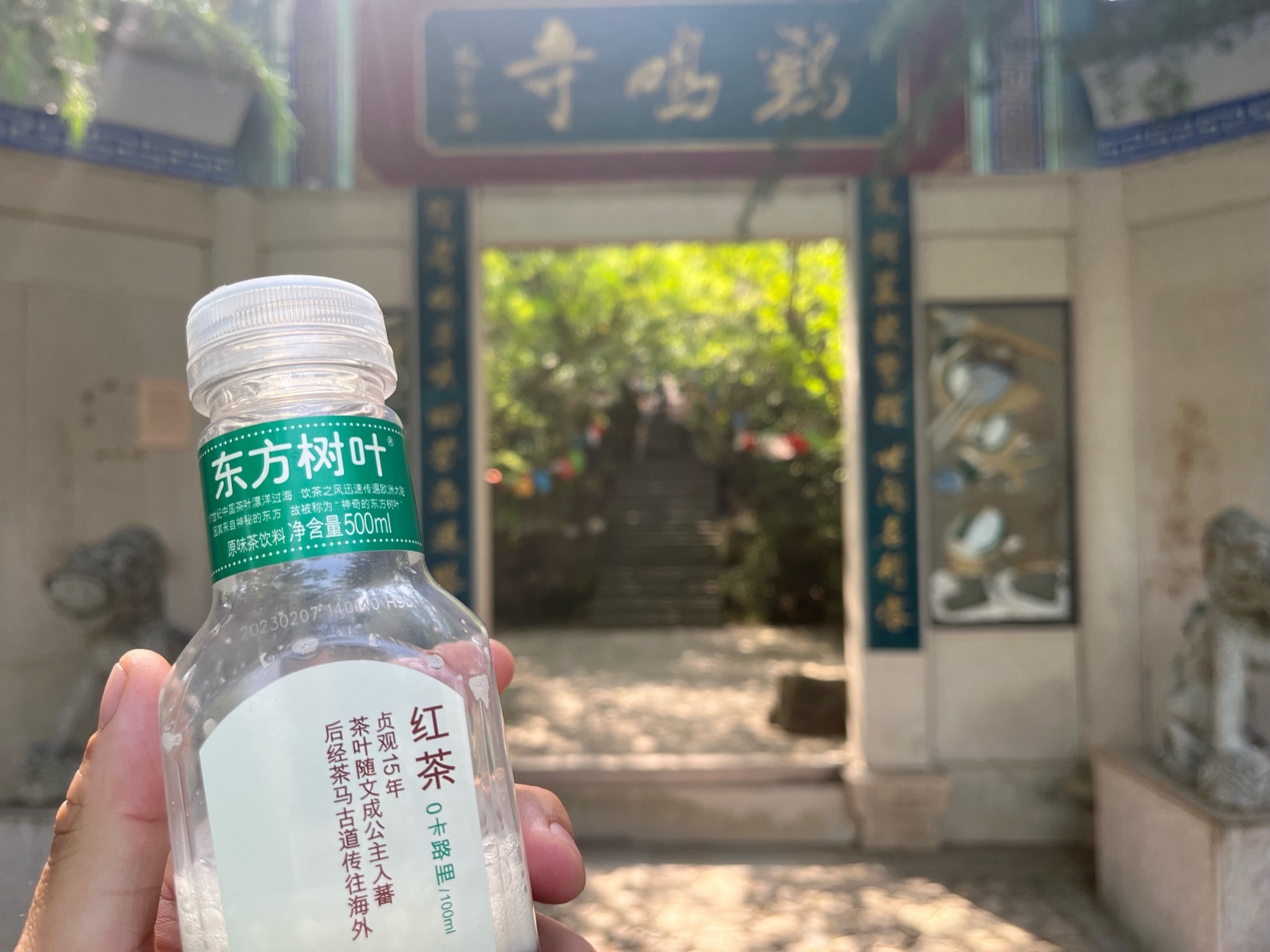 龙门崮风景区旅行图片 2