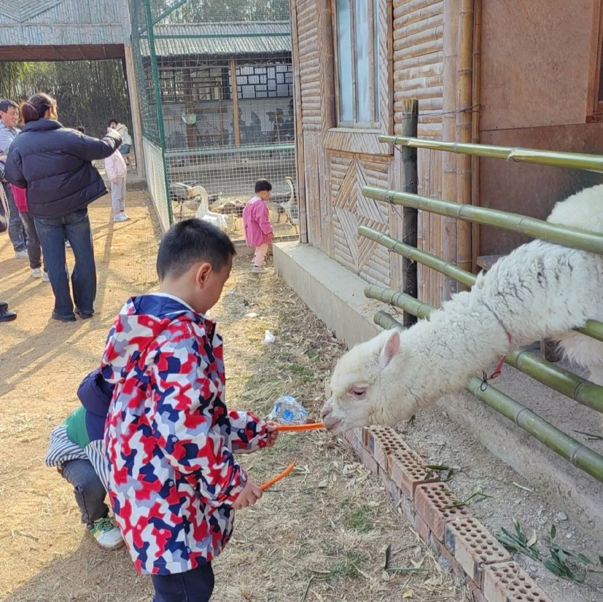 日照竹洞天风景区旅行图片 1