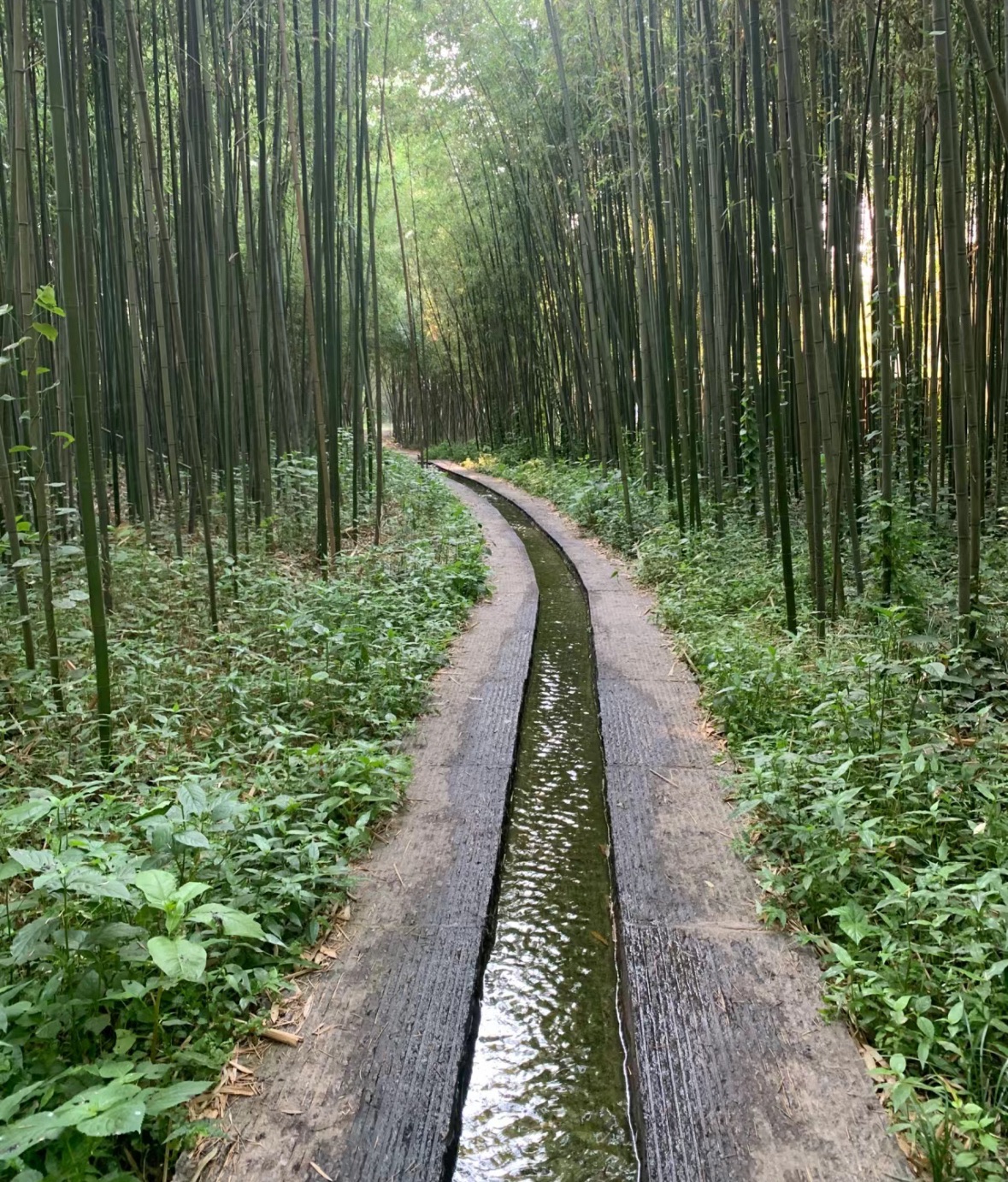 日照竹洞天风景区旅行图片 1