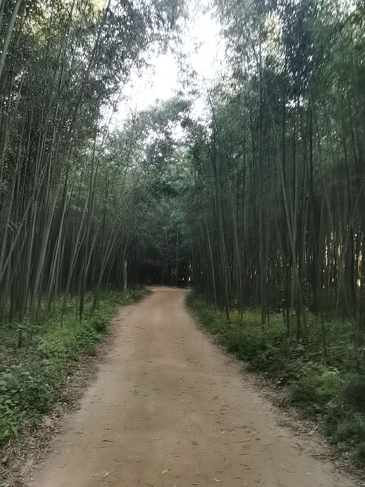日照竹洞天风景区旅行图片 3