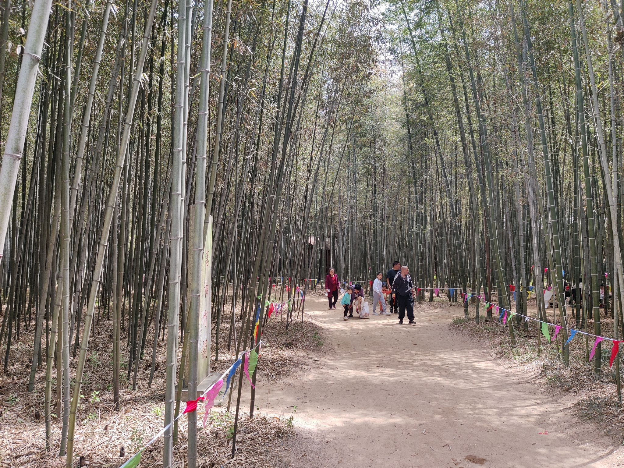 日照竹洞天风景区旅行图片 1