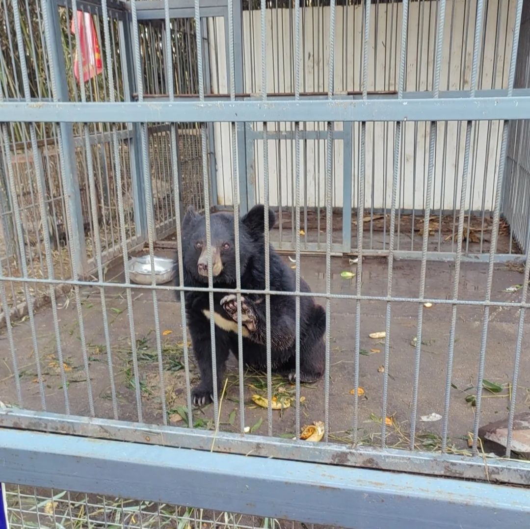 日照竹洞天风景区旅行图片 2