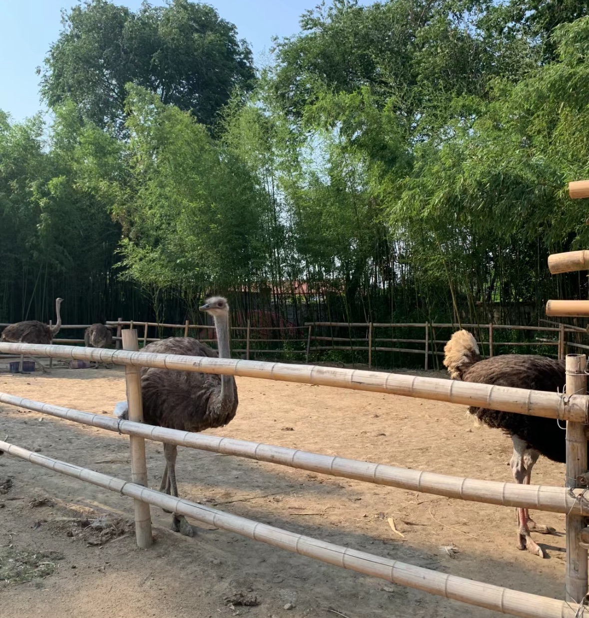 日照竹洞天风景区旅行图片 3