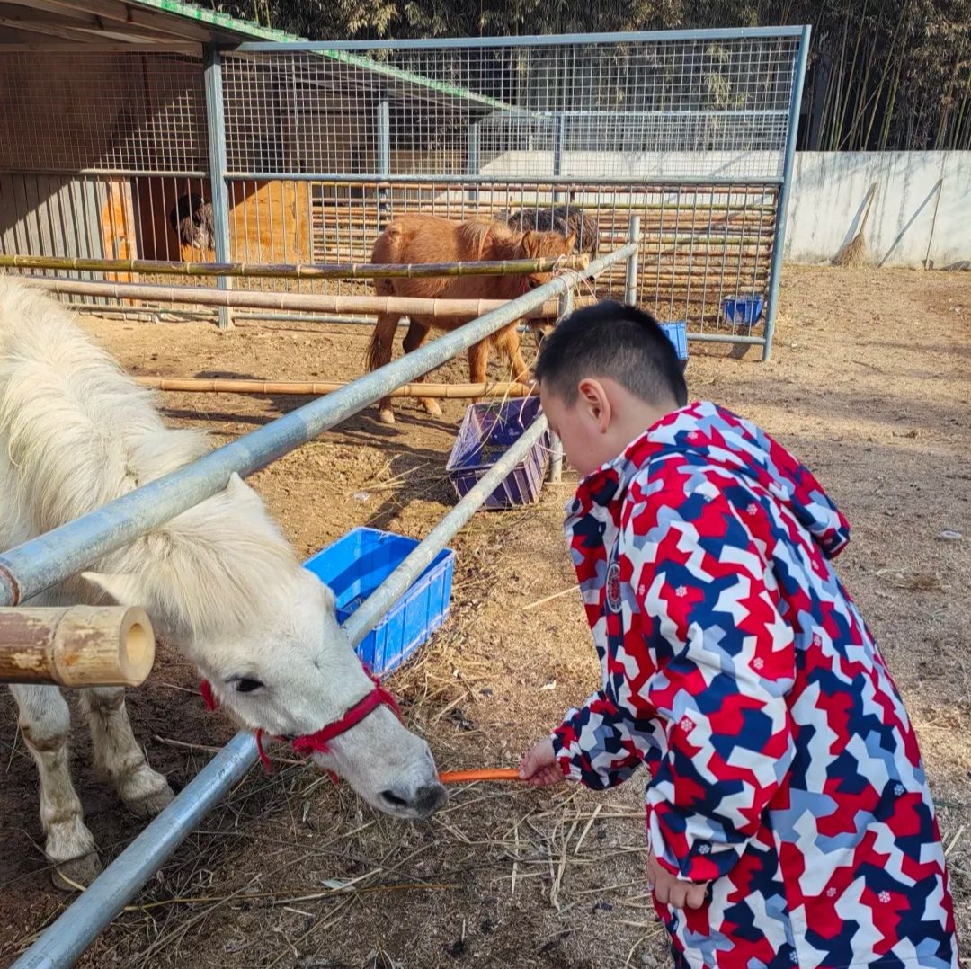 日照竹洞天风景区旅行图片 3