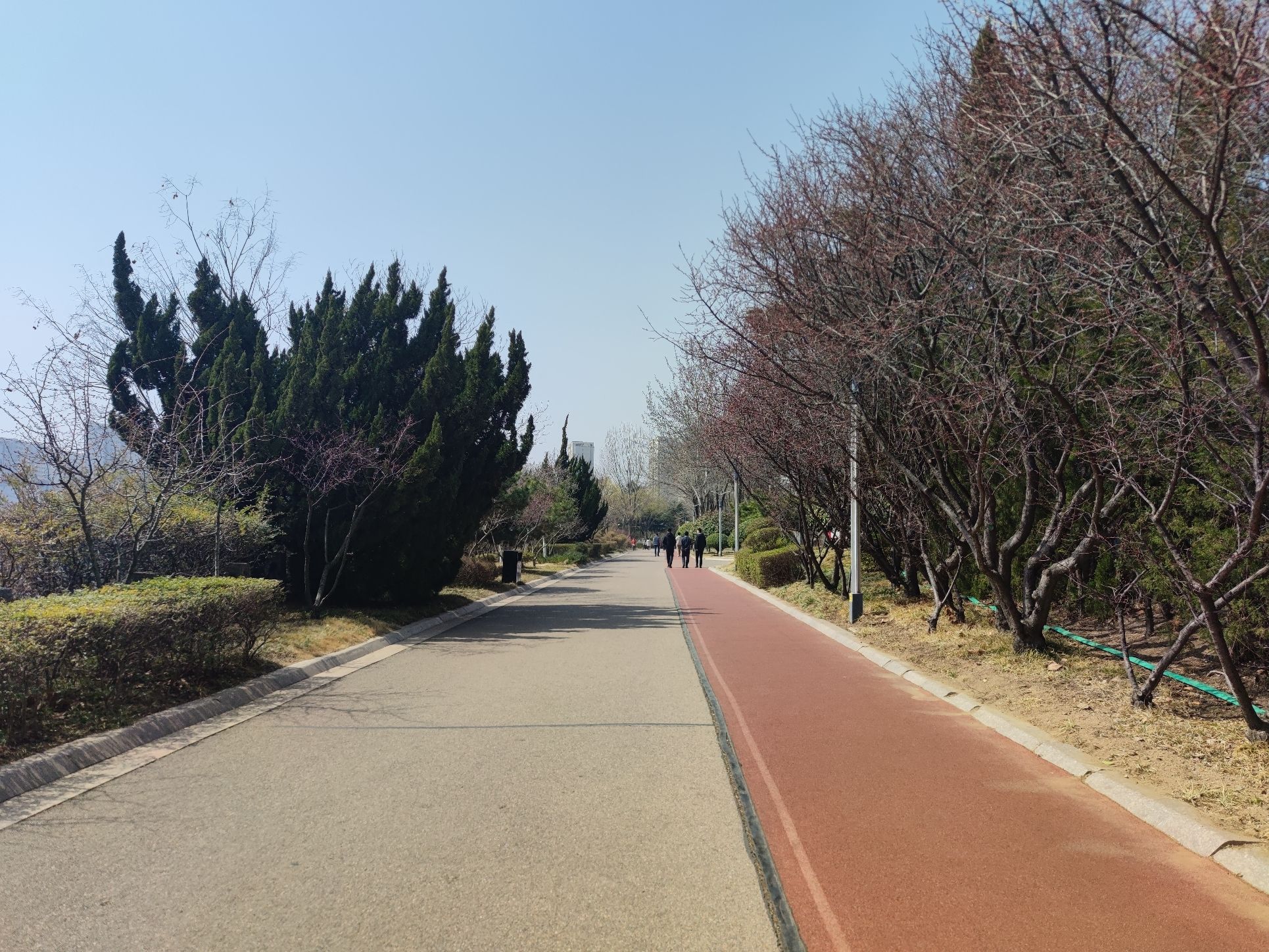 银河公园旅行图片 2