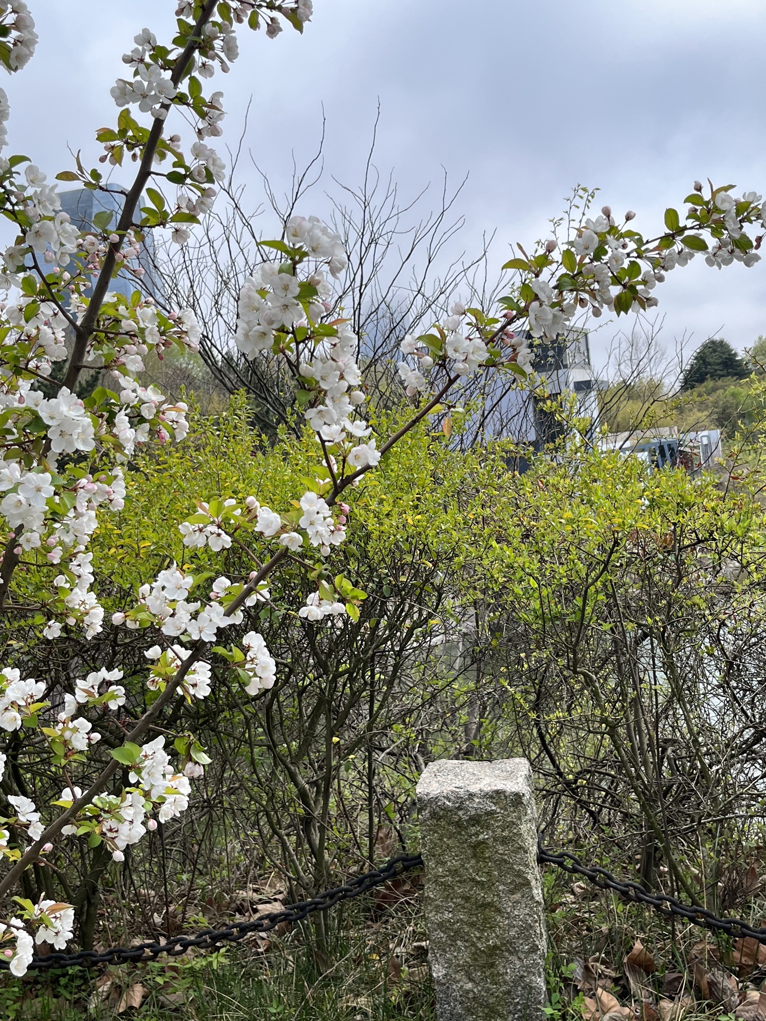 银河公园旅行图片 2