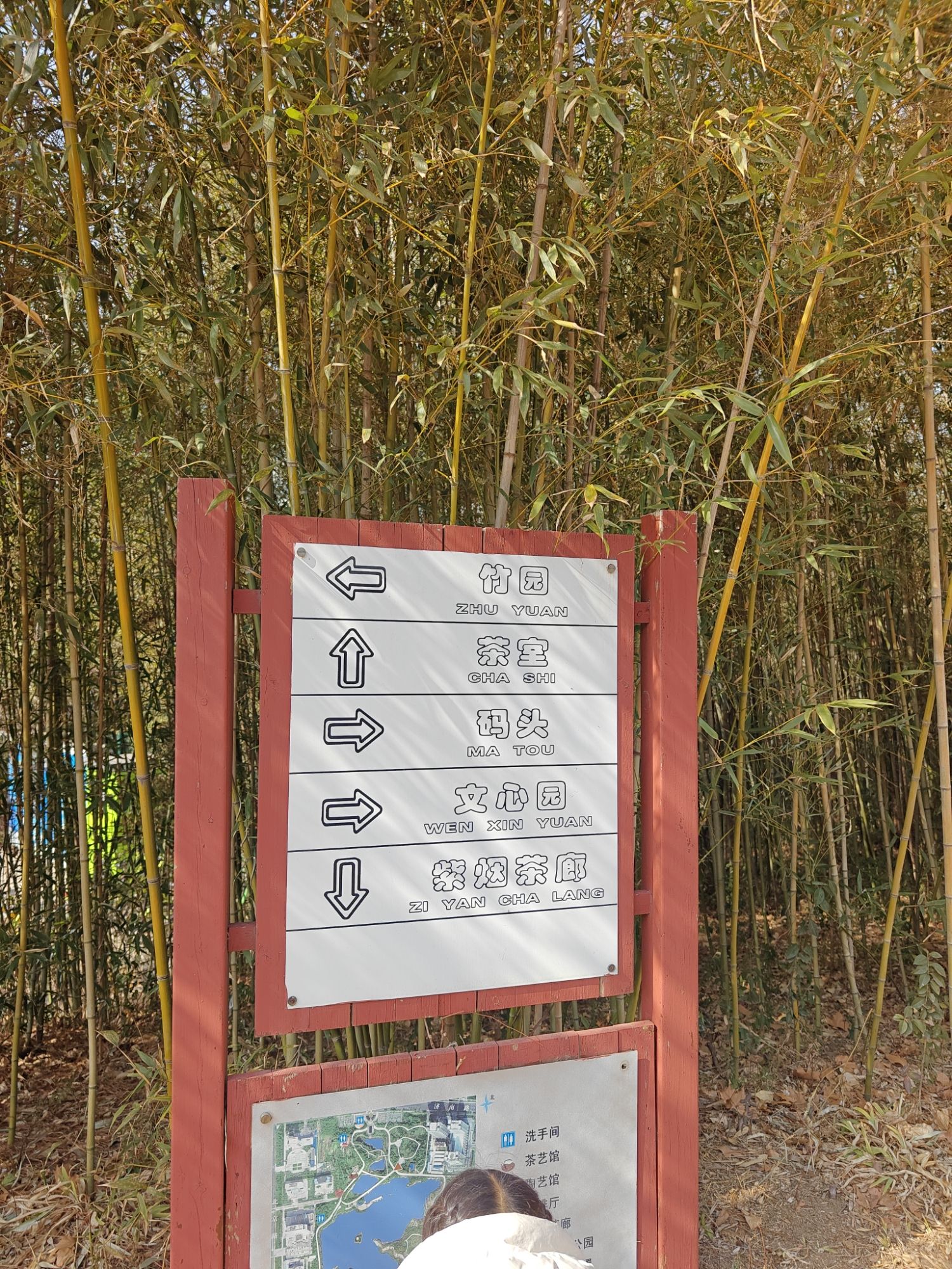 银河公园旅行图片 1