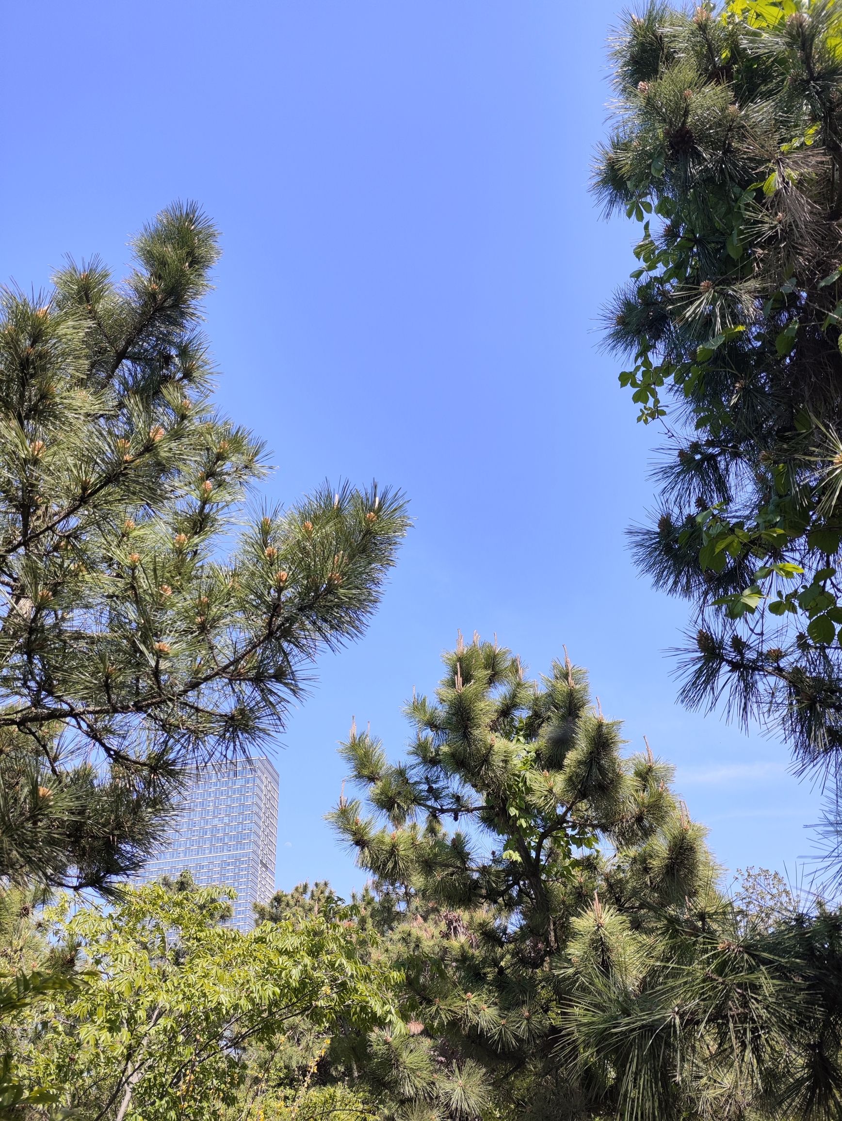 银河公园旅行图片 2