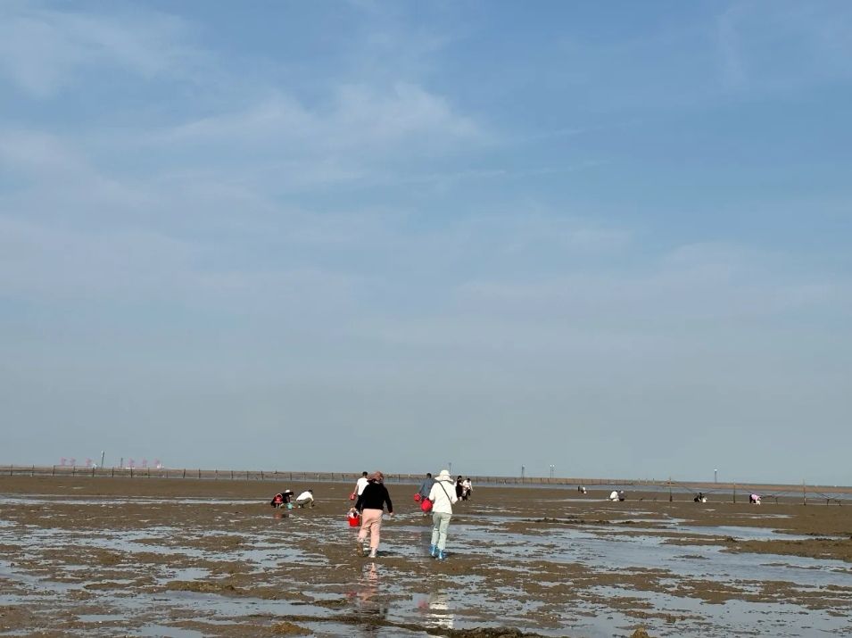 刘家湾赶海园旅行图片 2