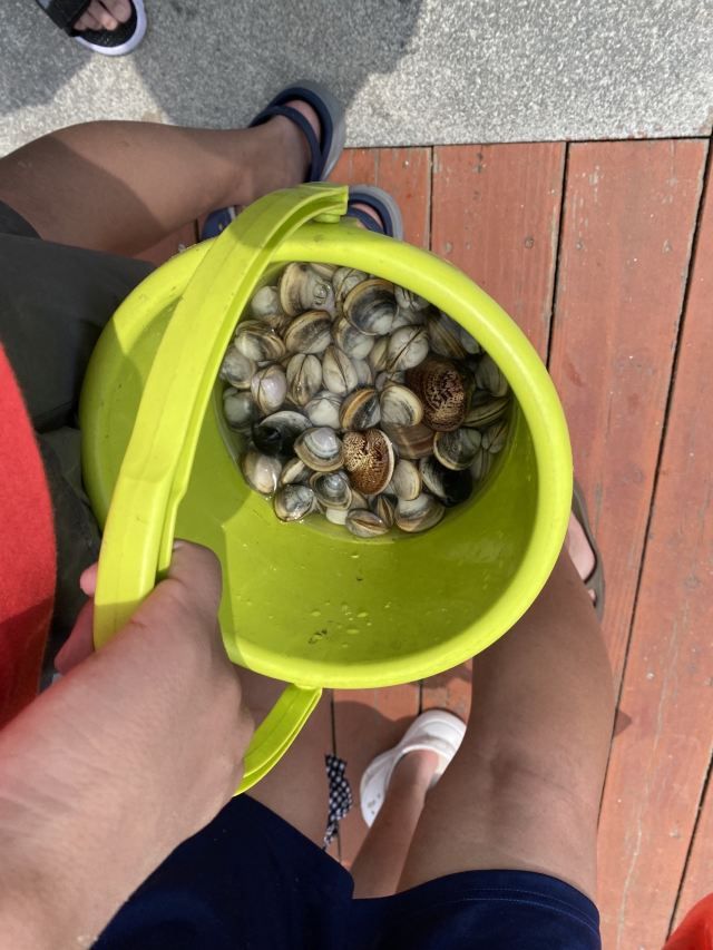 刘家湾赶海园旅行图片 3