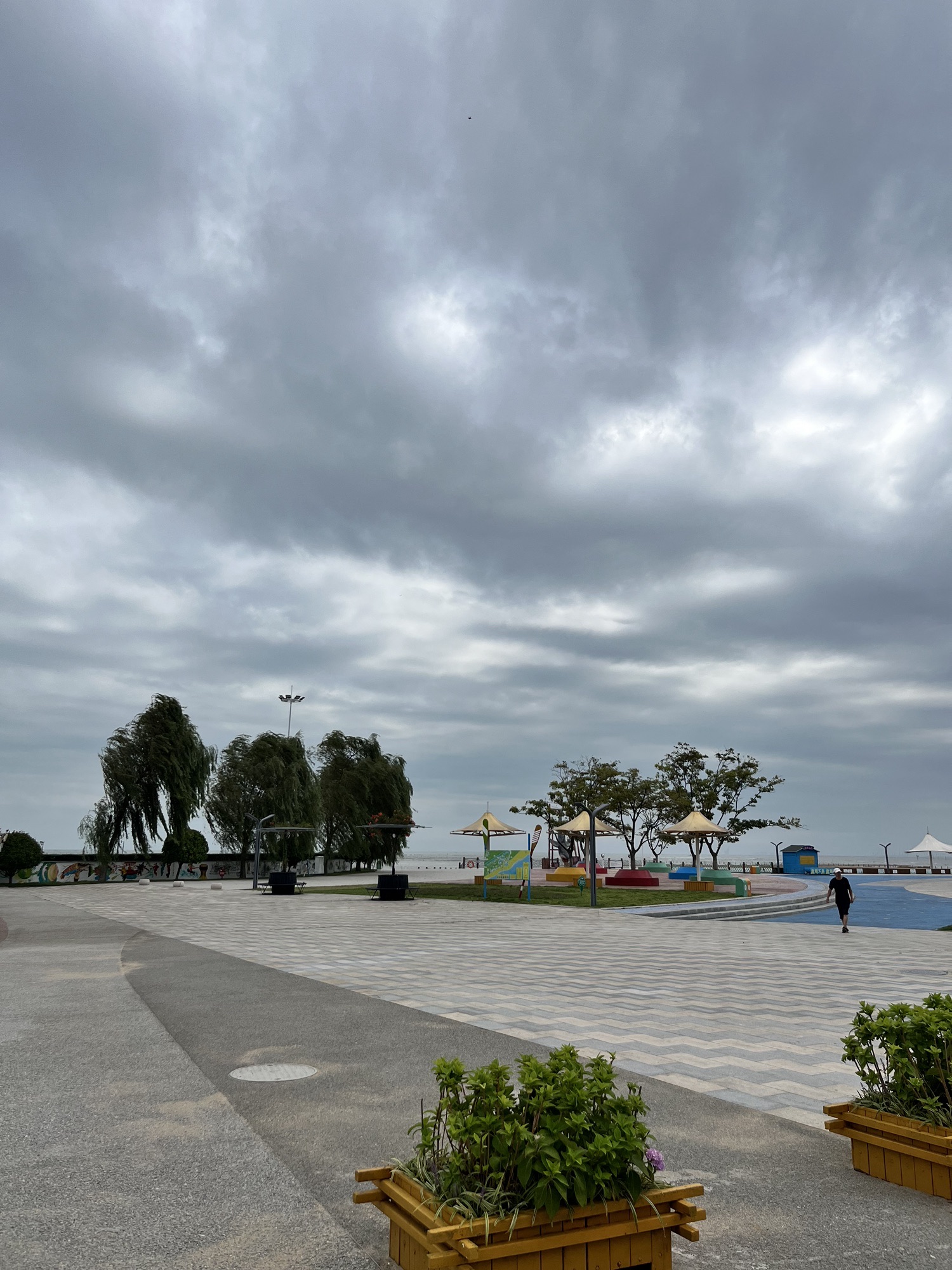 刘家湾赶海园旅行图片 2