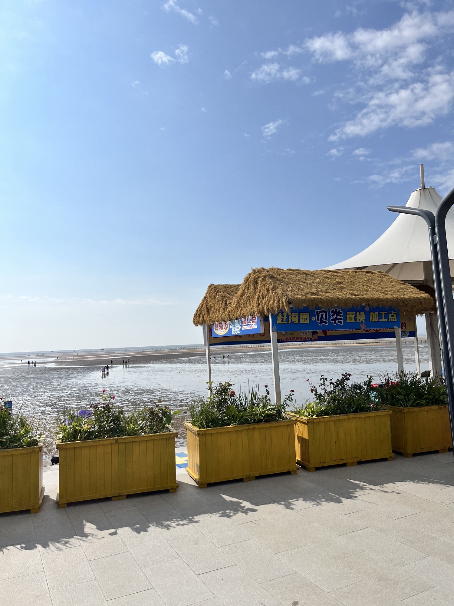 刘家湾赶海园旅行图片 3