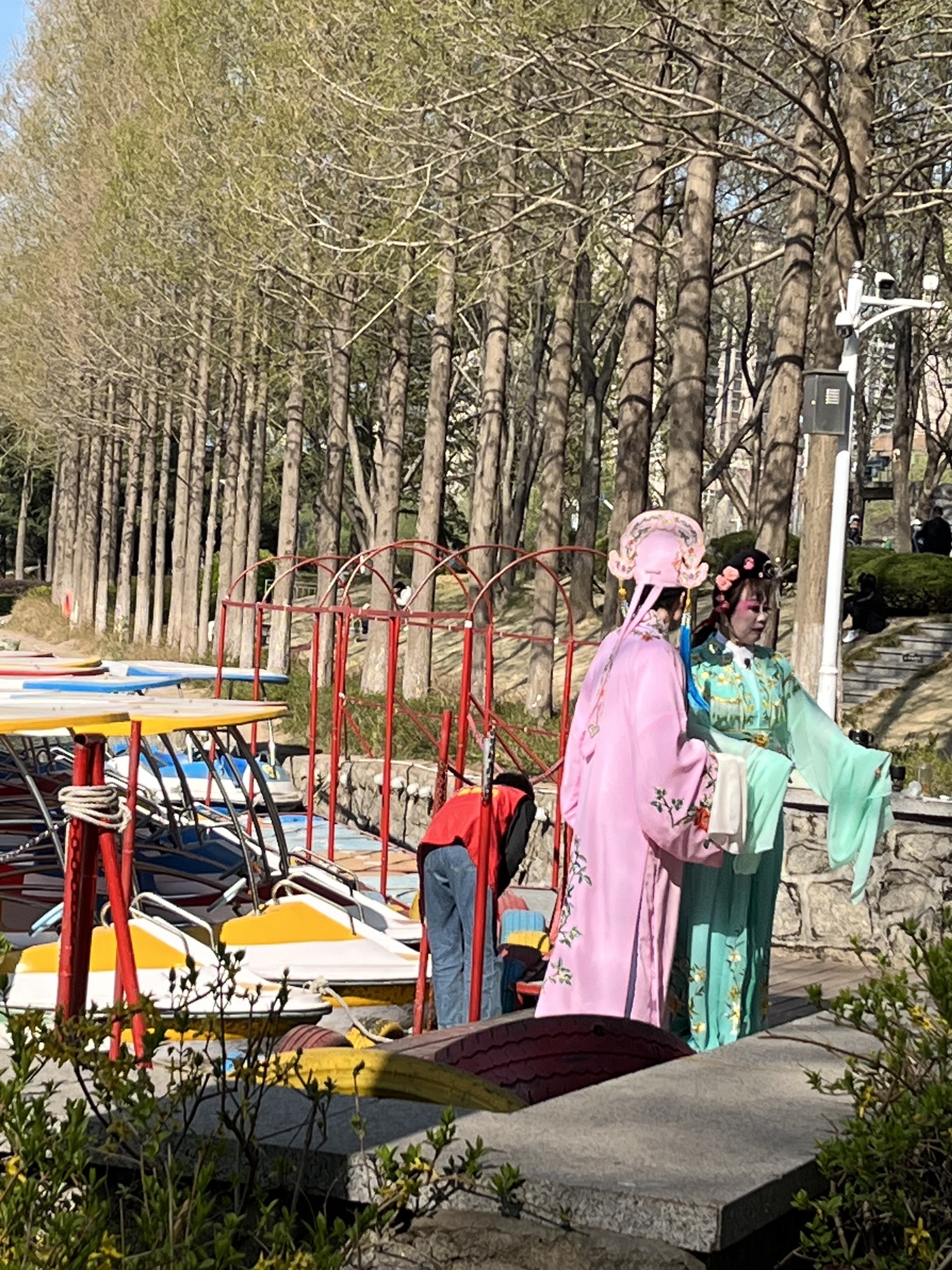 海曲园旅行图片 1
