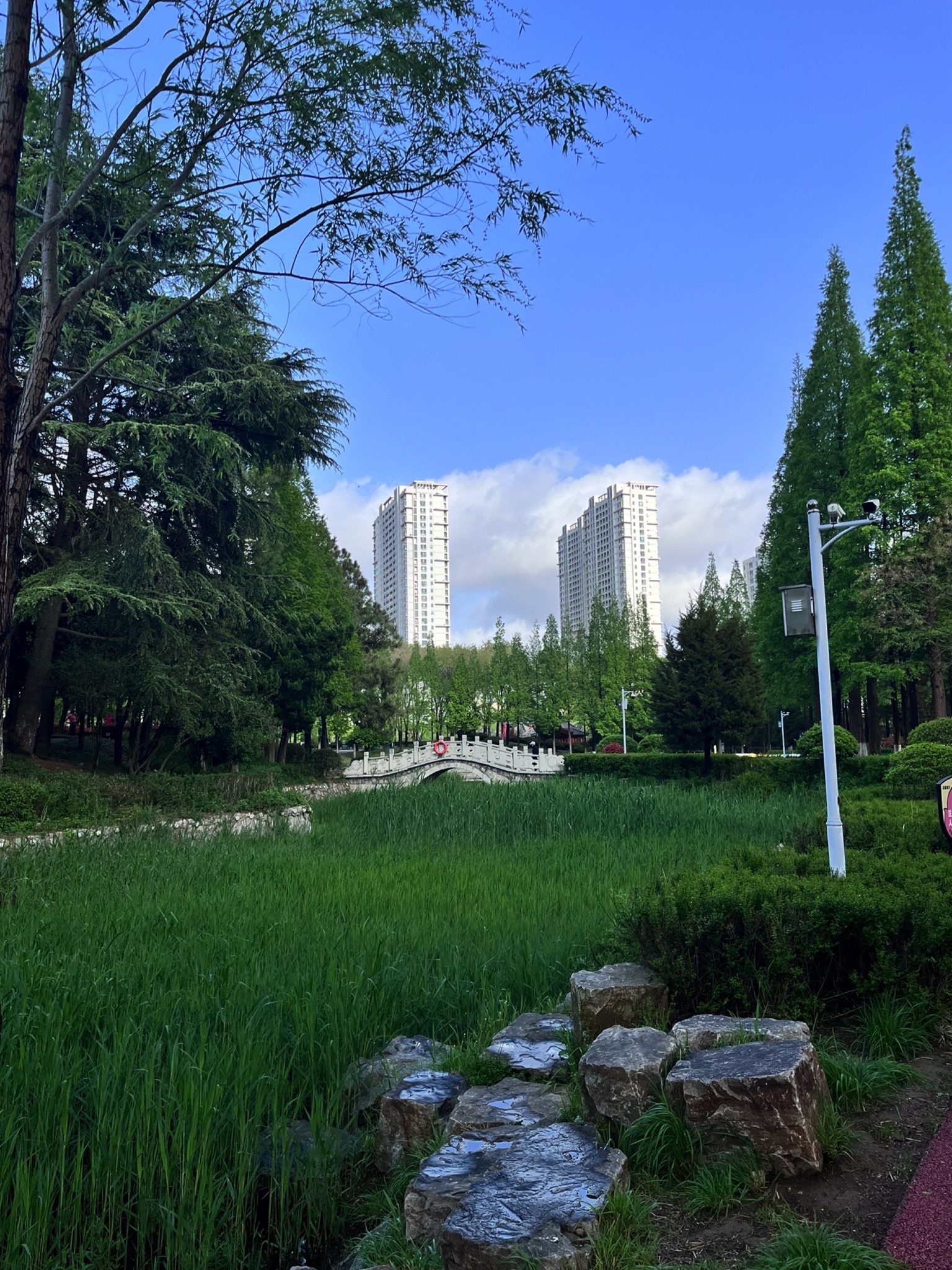 海曲园旅行图片 2