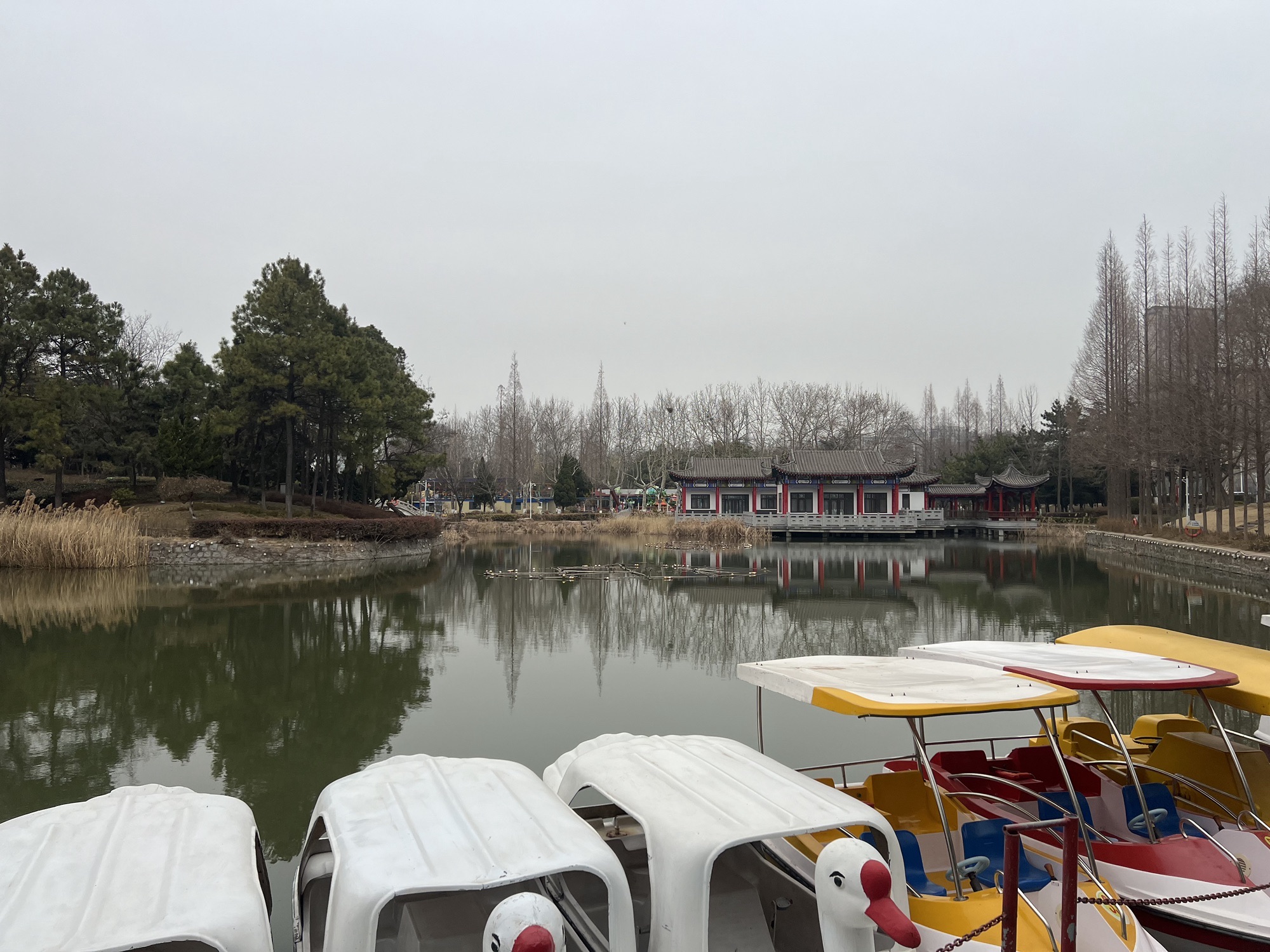 海曲园旅行图片 3