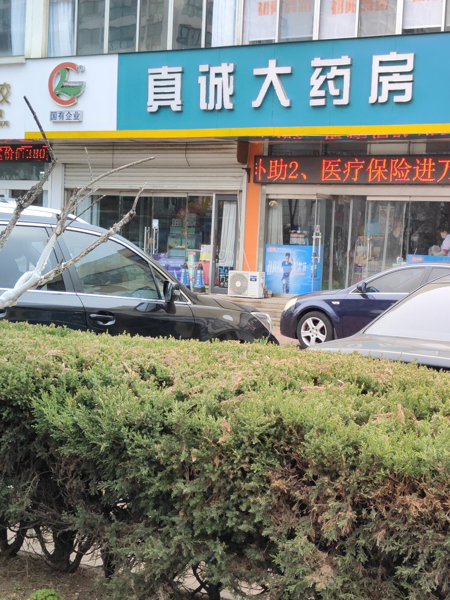 真诚大药房(威海路药店)