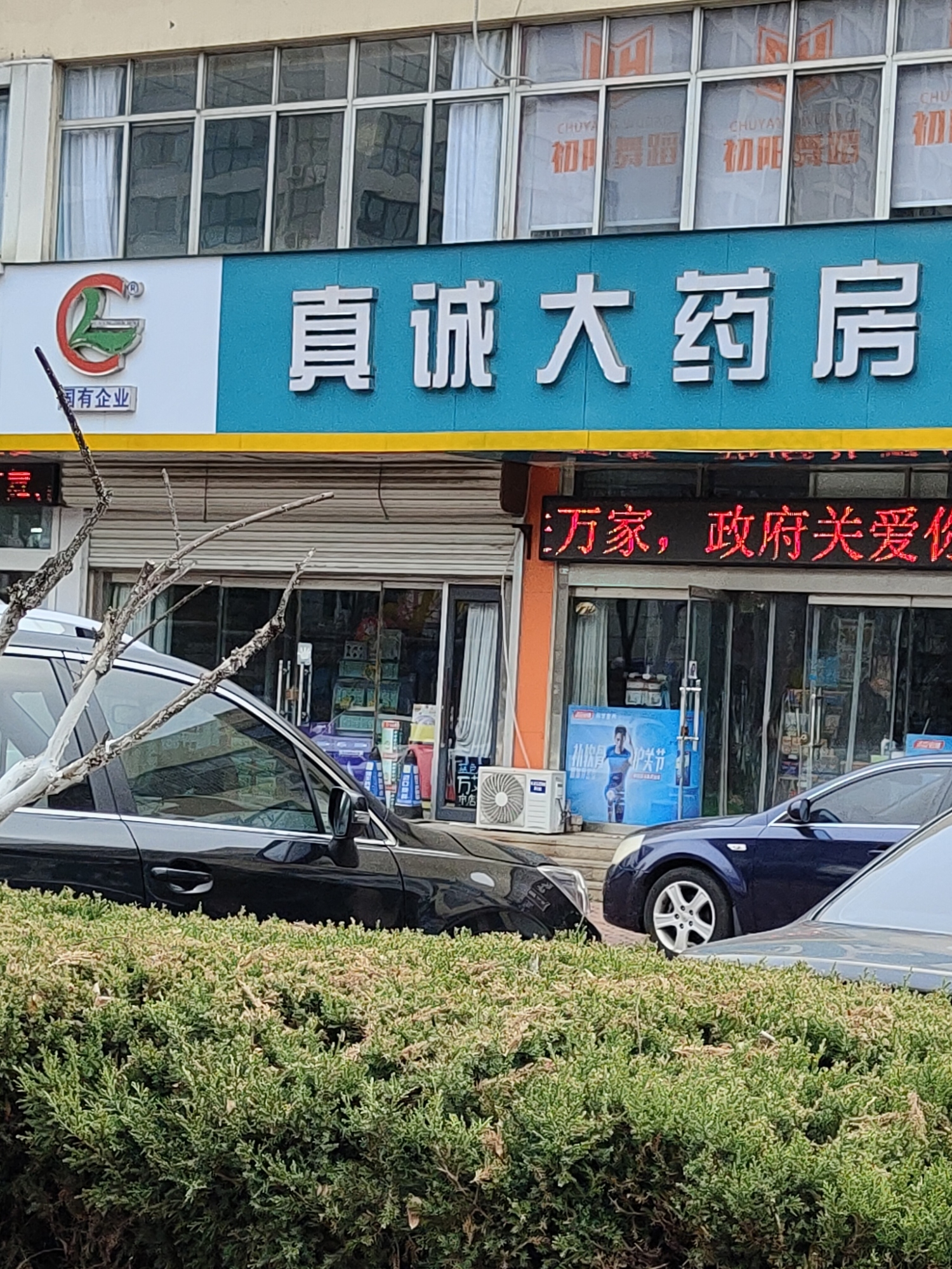 真诚大药房(威海路药店)