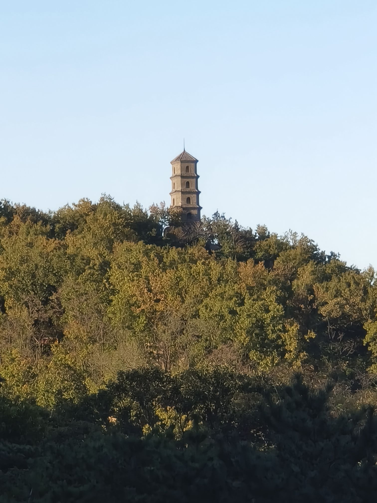 大青山风景区旅行图片 3