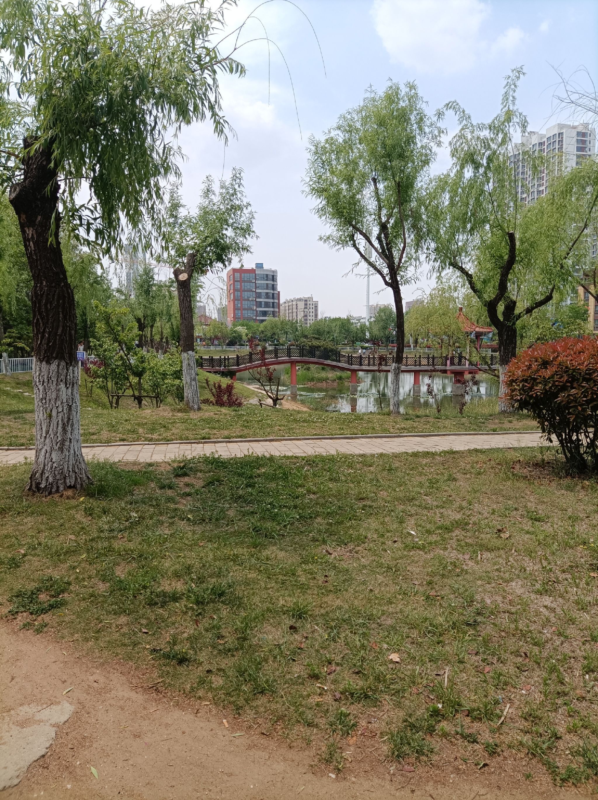 日照经济技术开发区中心公园旅行图片 2