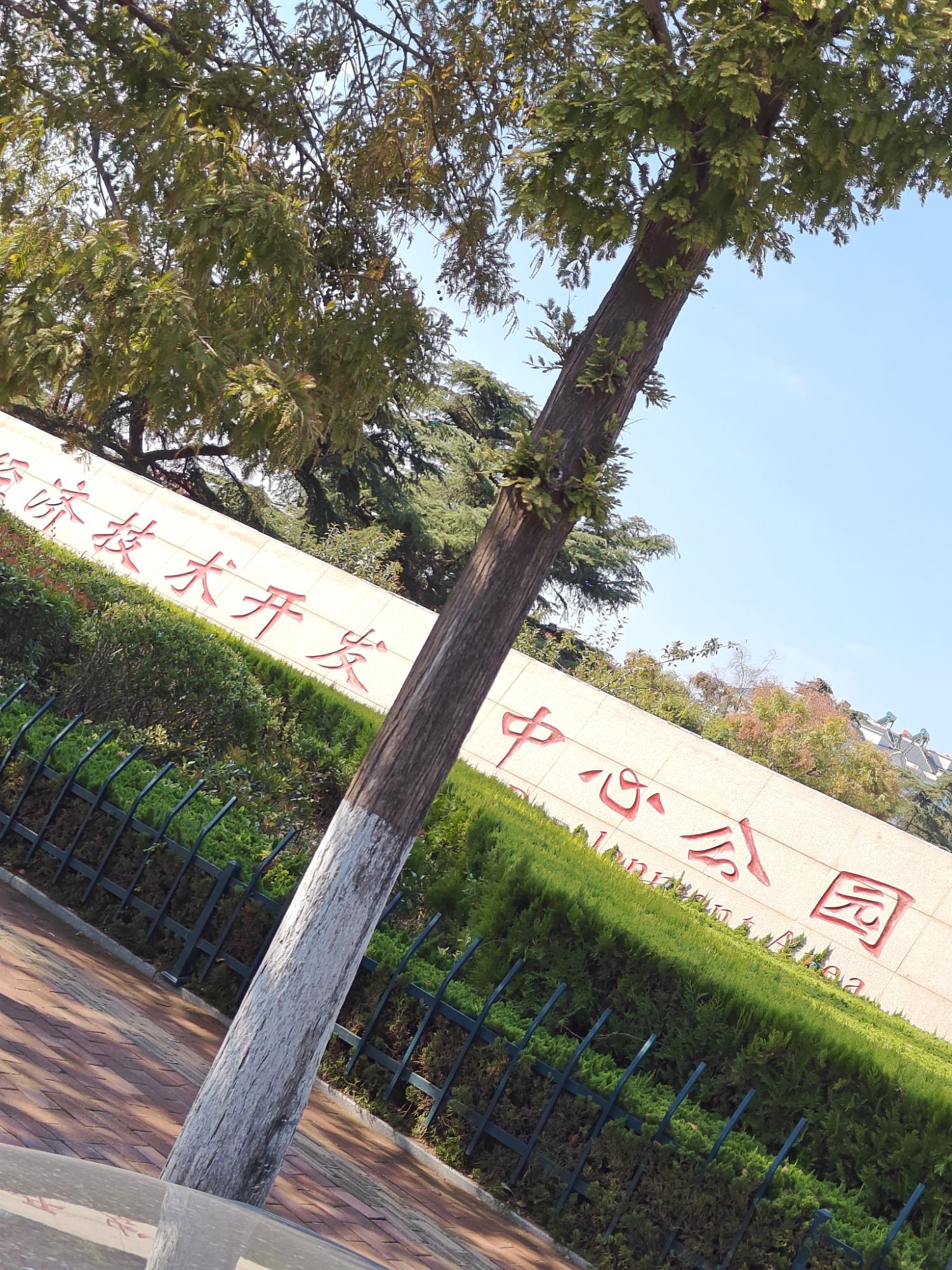 日照经济技术开发区中心公园旅行图片 1