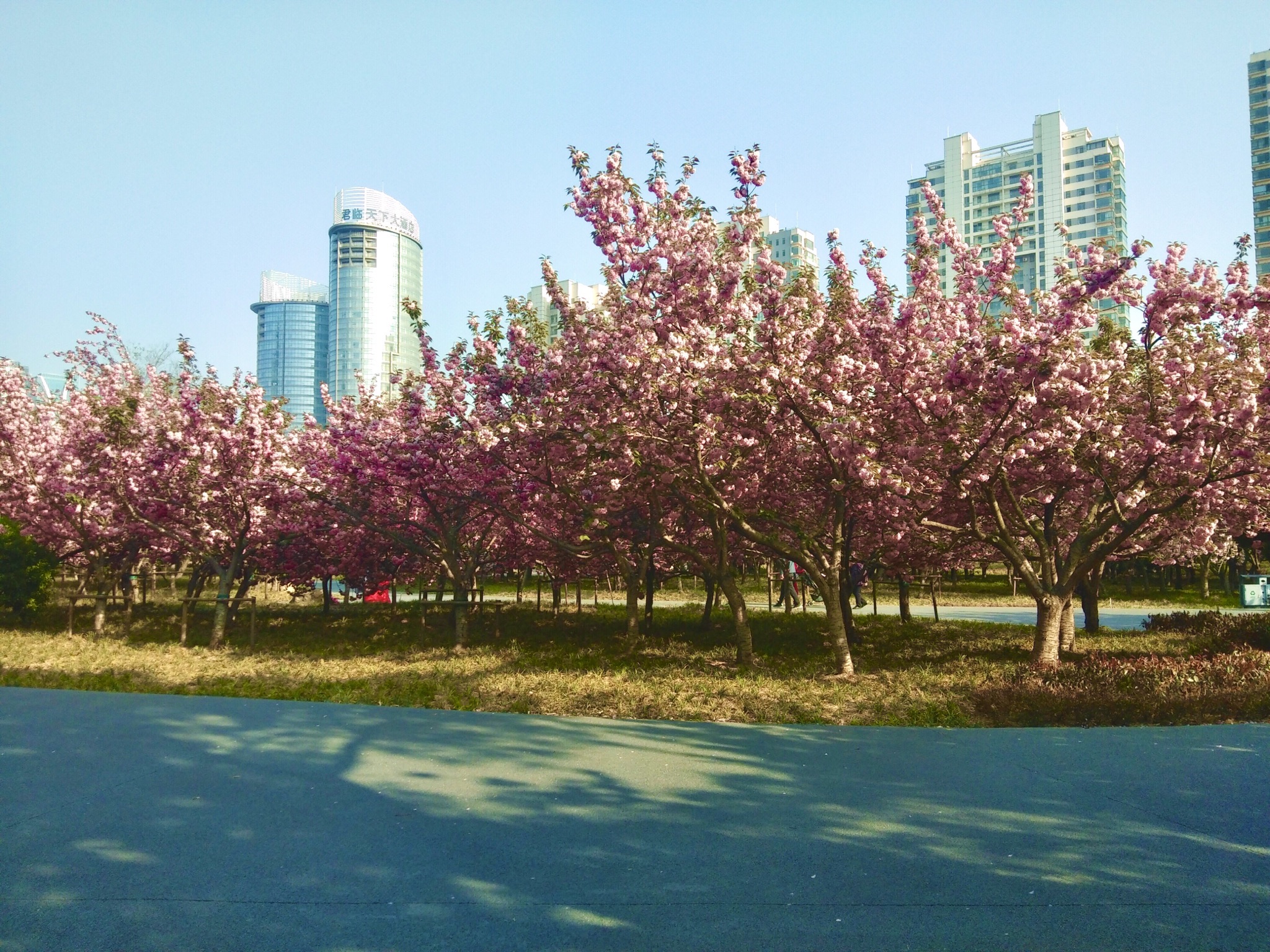 日照市消防文化公园旅行图片 2