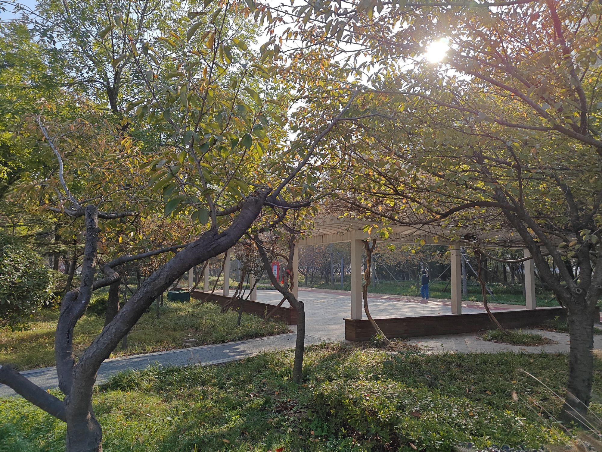 日照市消防文化公园旅行图片 1