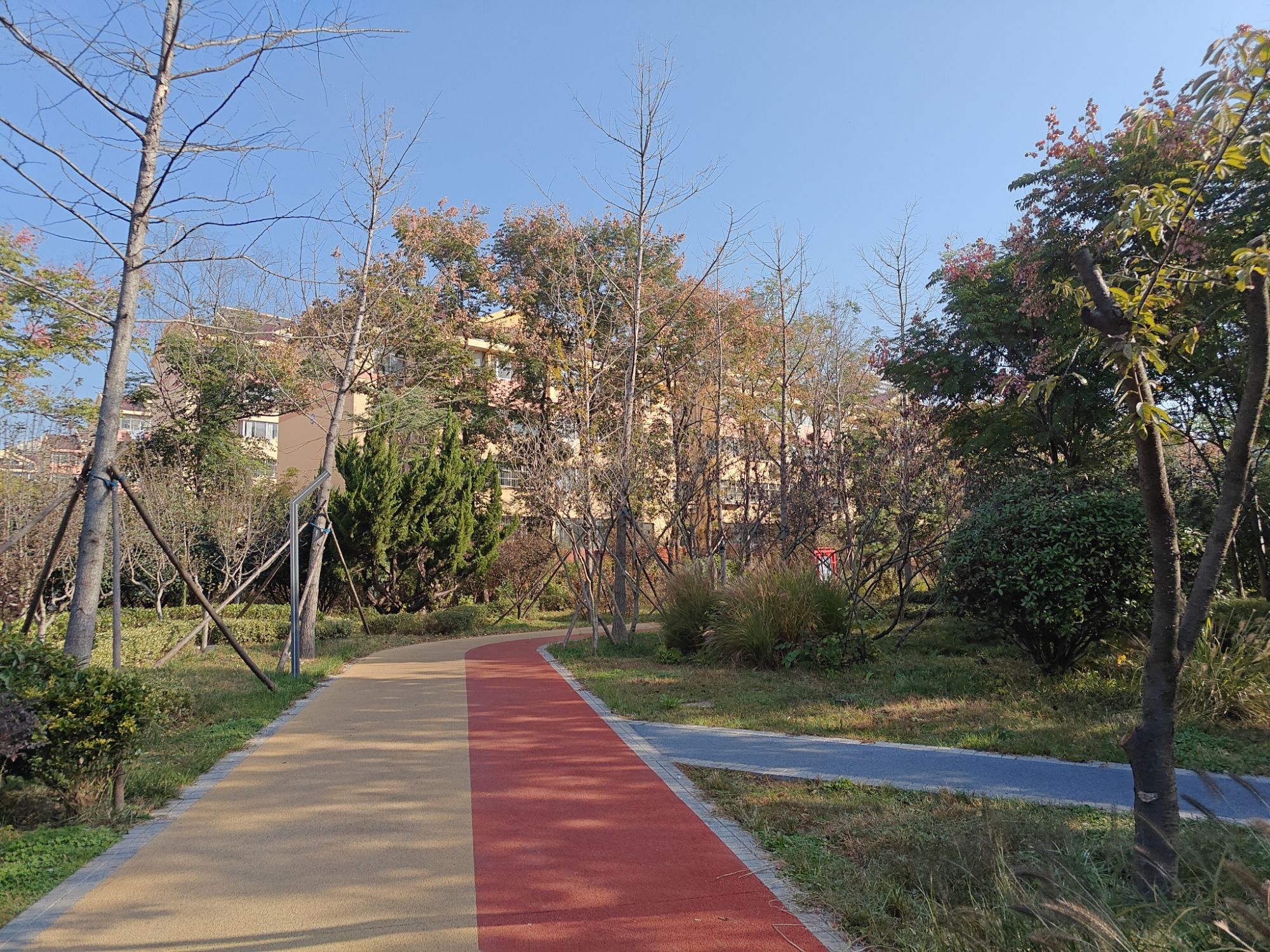 日照市消防文化公园旅行图片 2