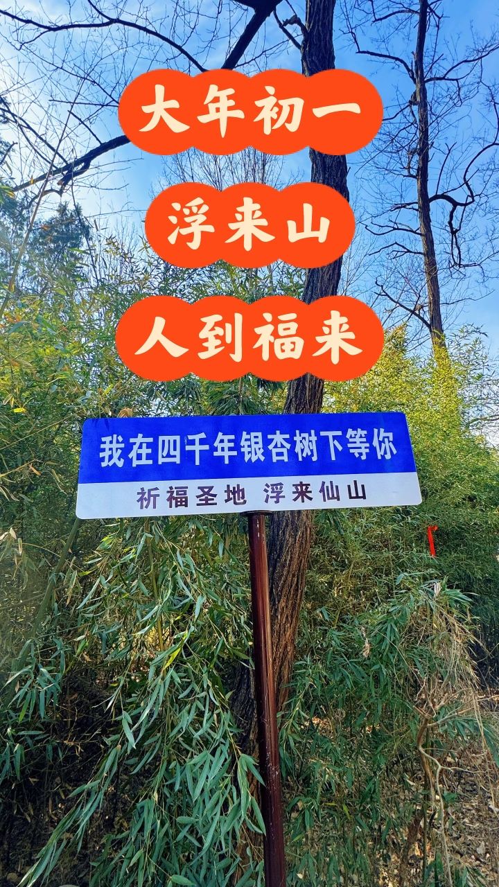 浮来山风景区旅行图片 3