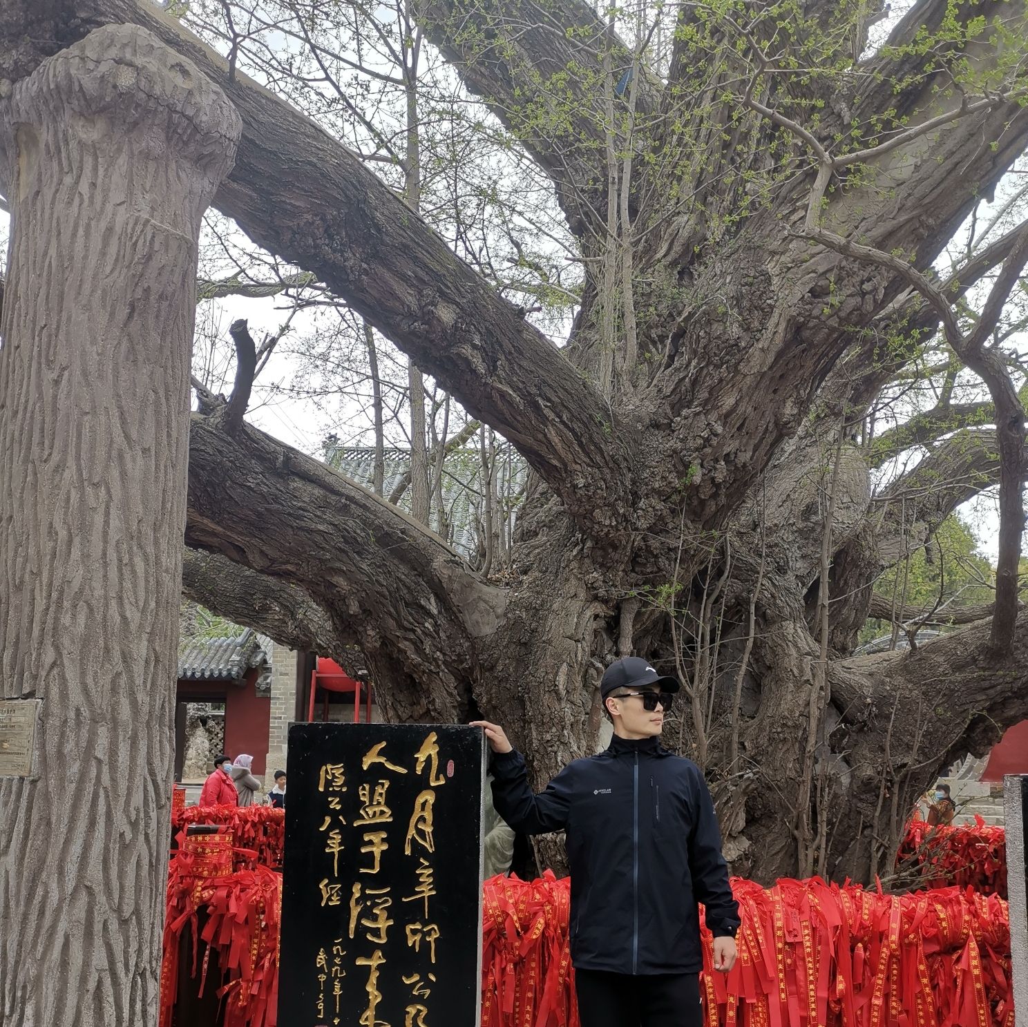浮来山风景区旅行图片 2