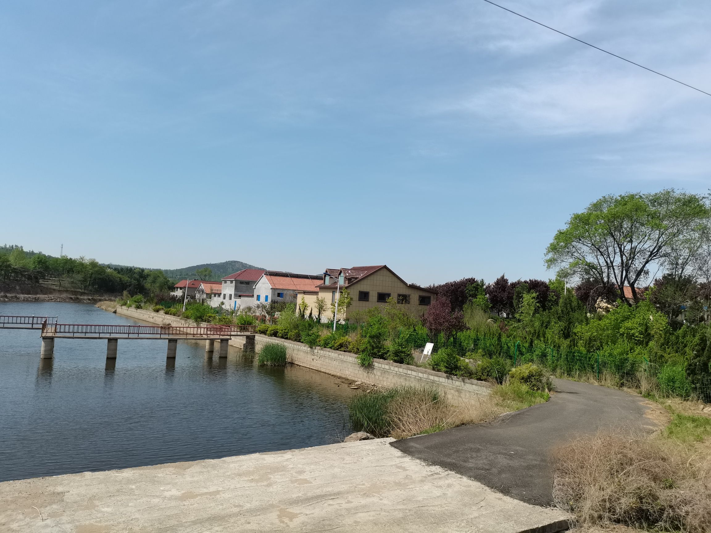 莲生湖公园旅行图片 2